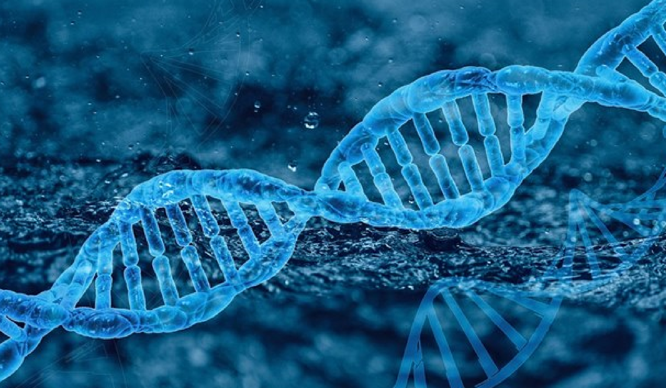 Novel method for mass production of recombinant proteins