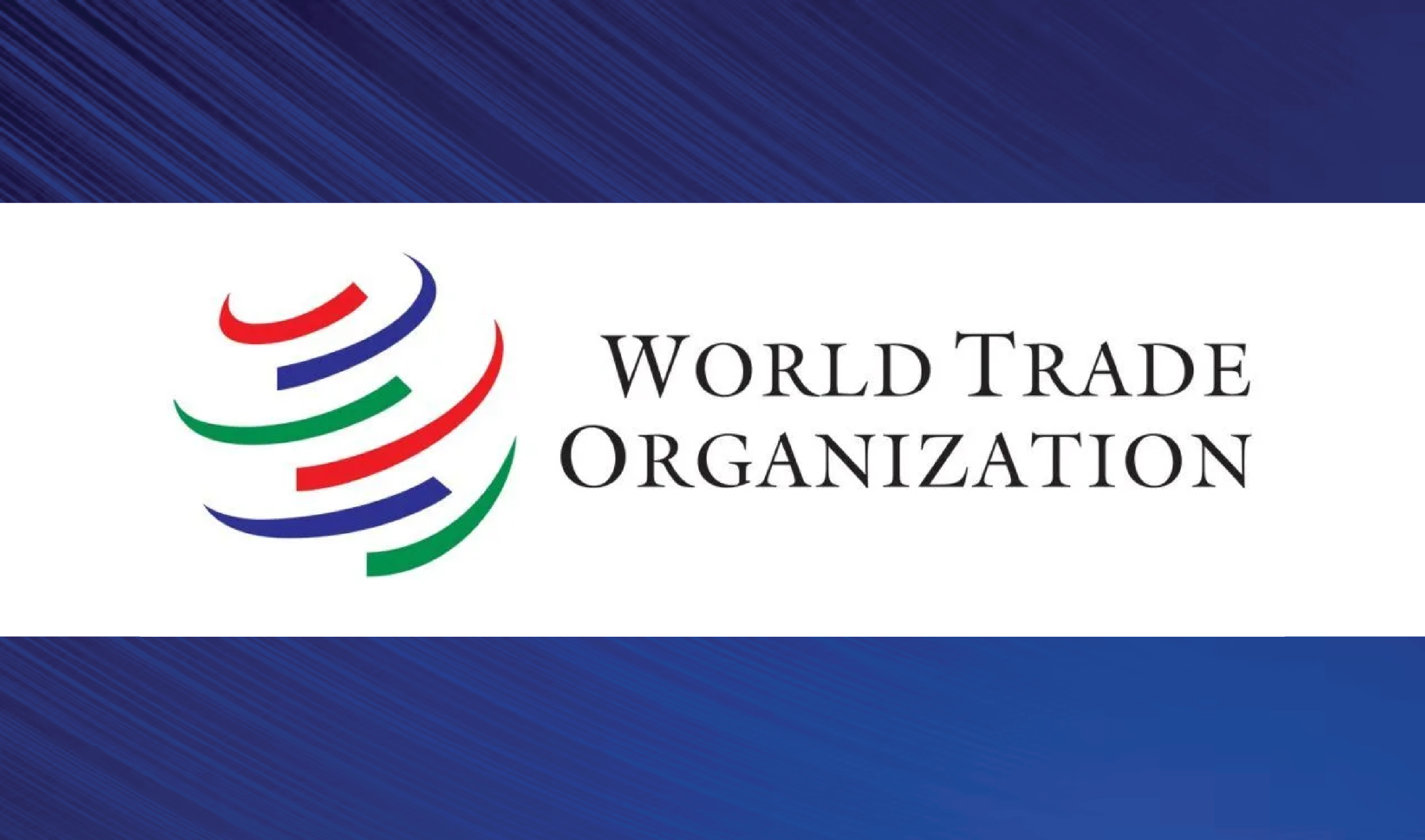 WTO members held first formal meeting on dispute settlement reform