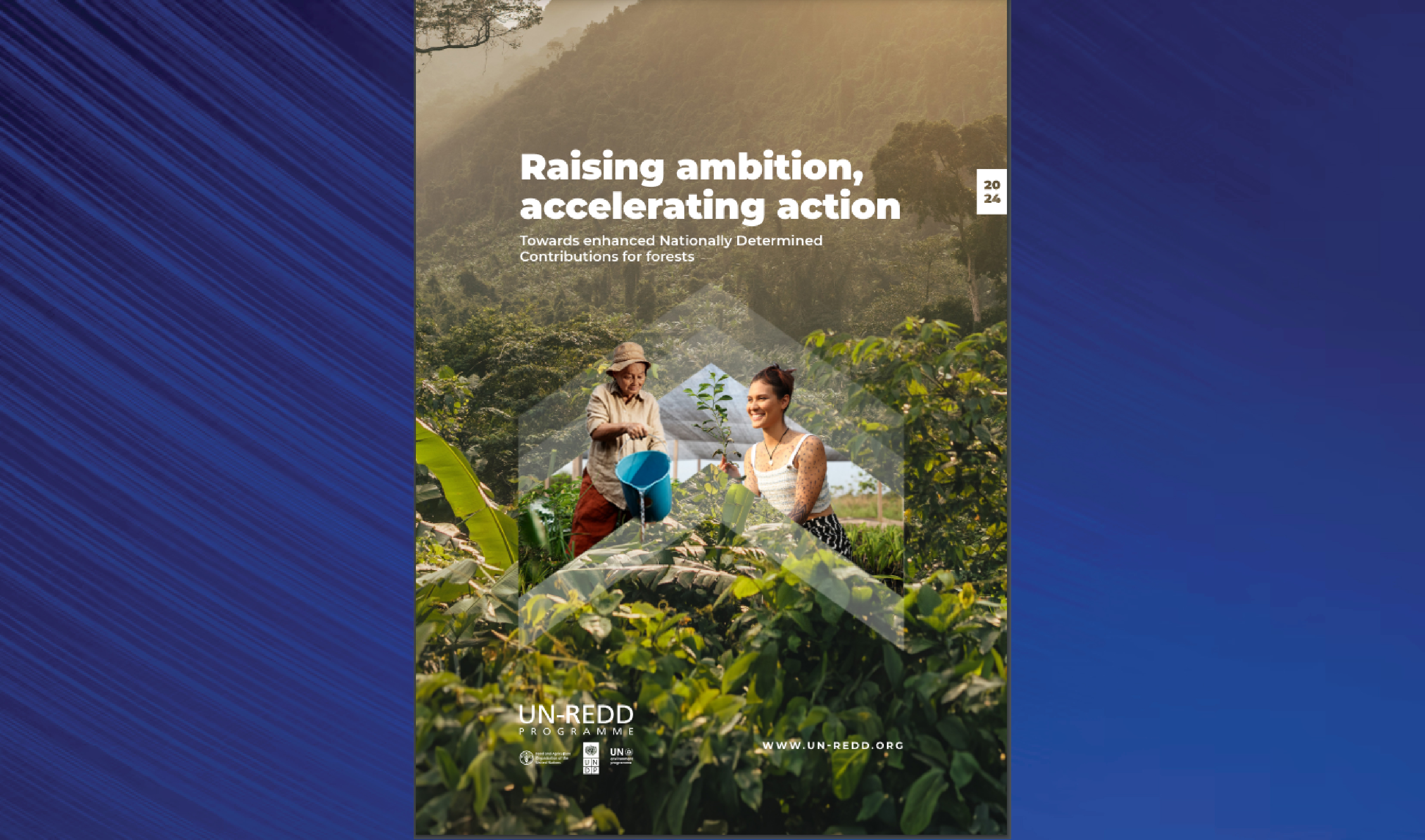 “Raising Ambition, Accelerating Action: Towards Enhanced NDCs for Forests" report