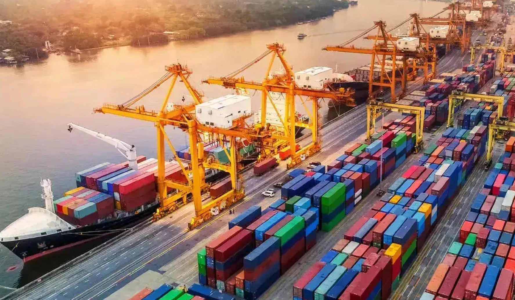 Export Promotion Mission