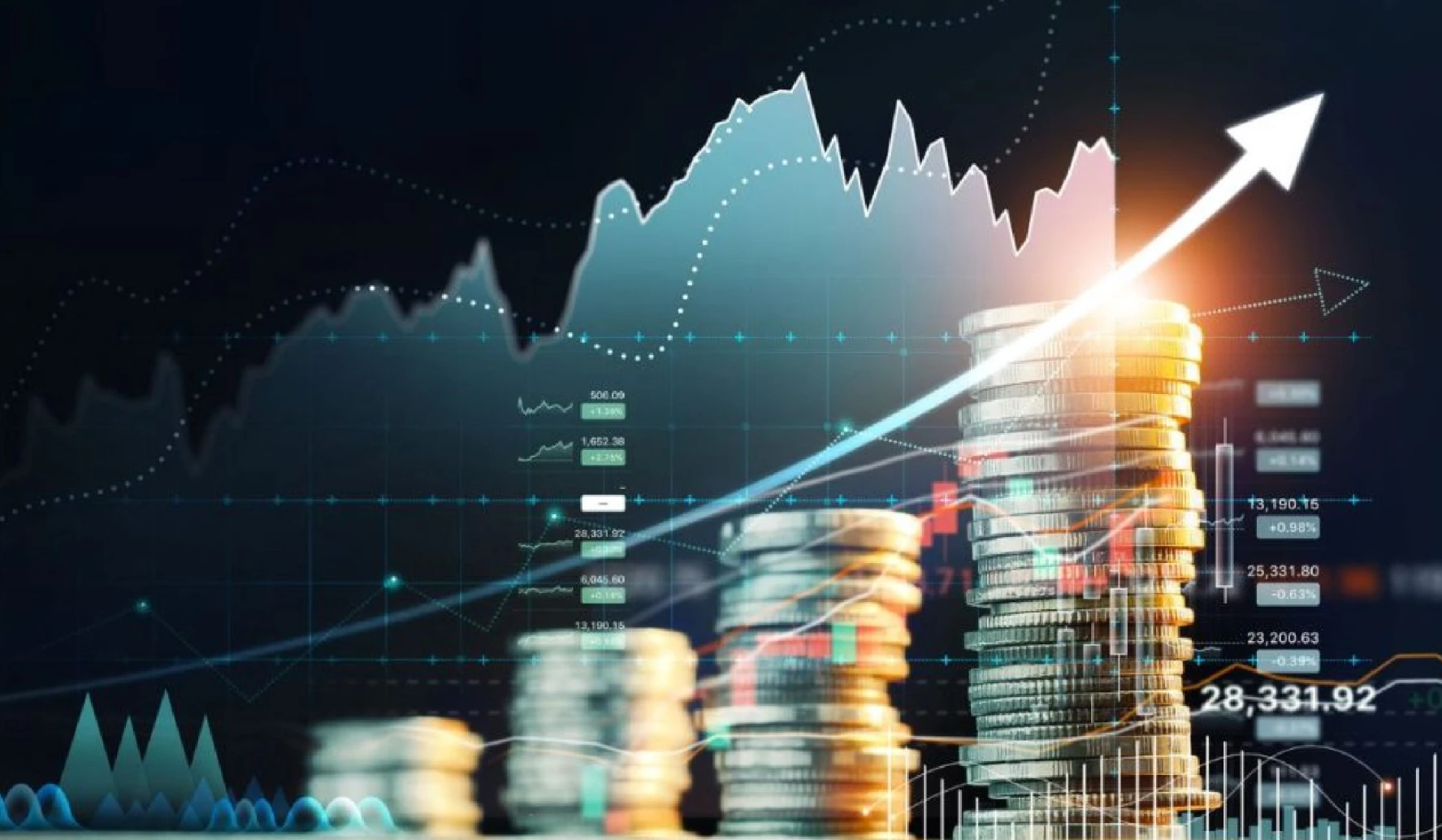 Capital Markets in India