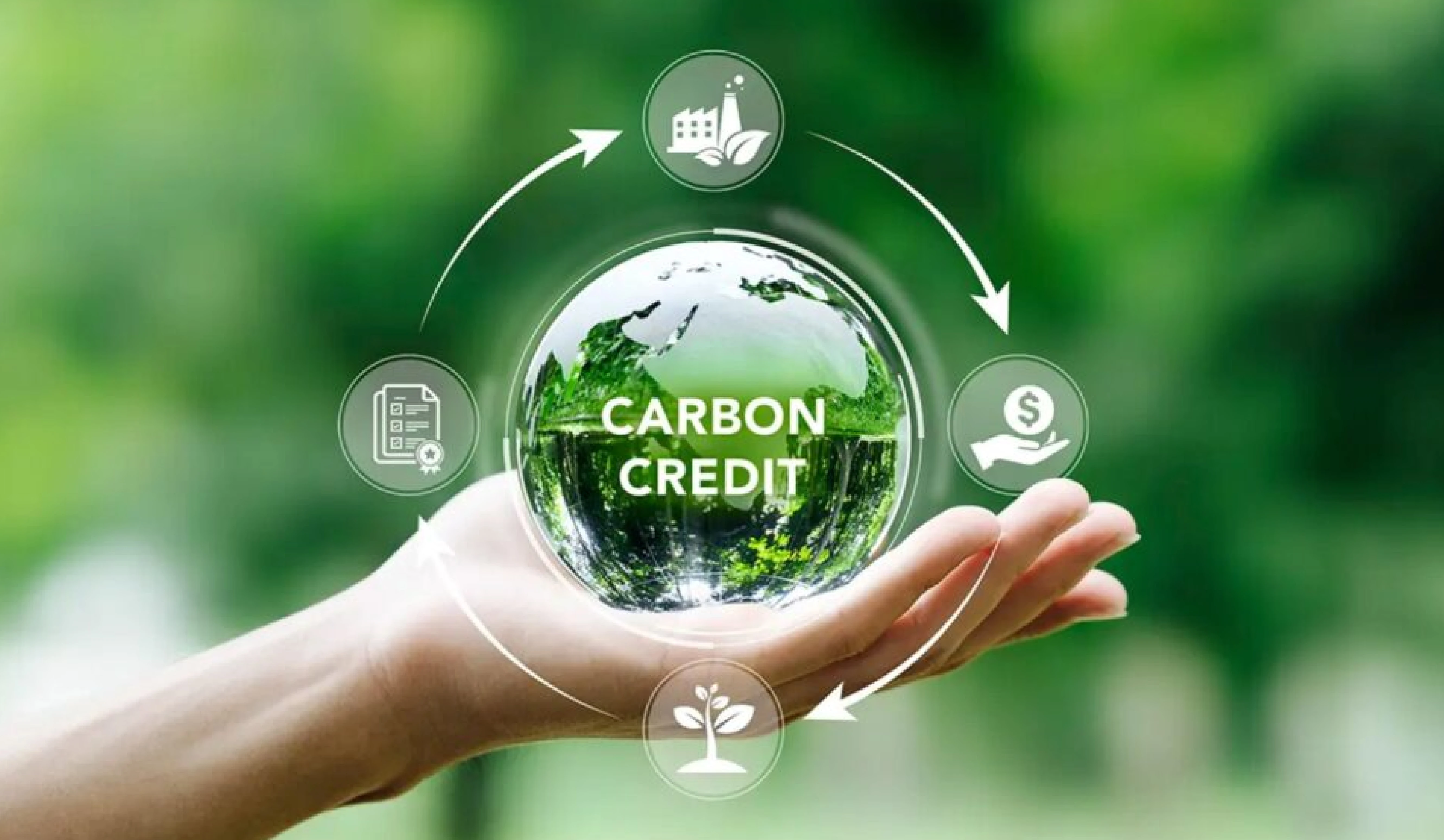 Carbon Credit Trading Scheme