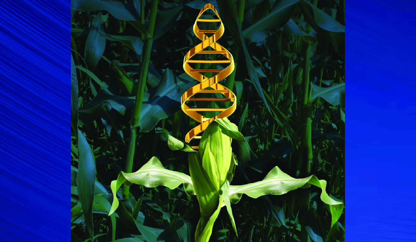 New gene revolution driving Genetically Modified (GM) crops 