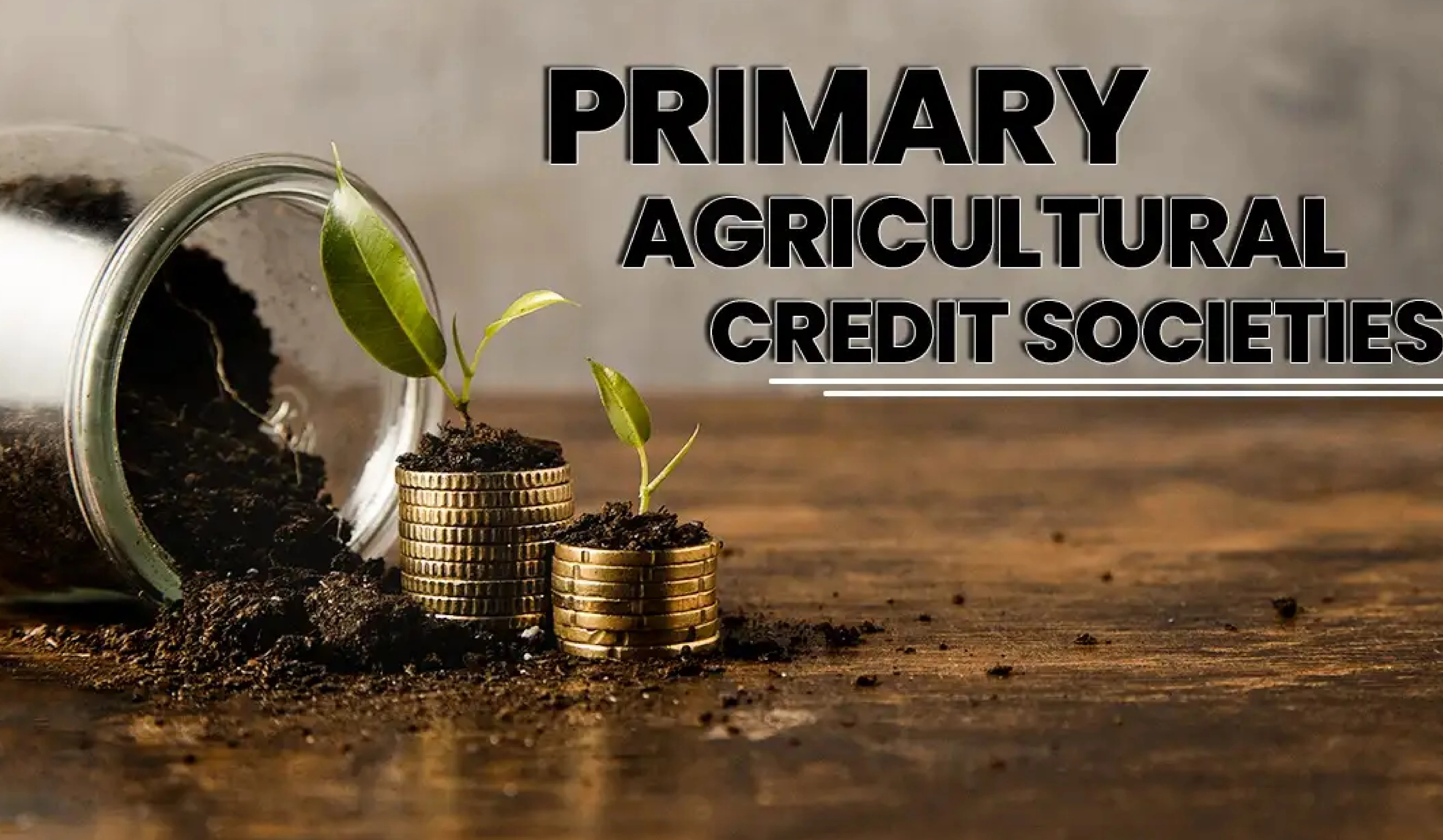 Transforming Primary Agricultural Credit Societies