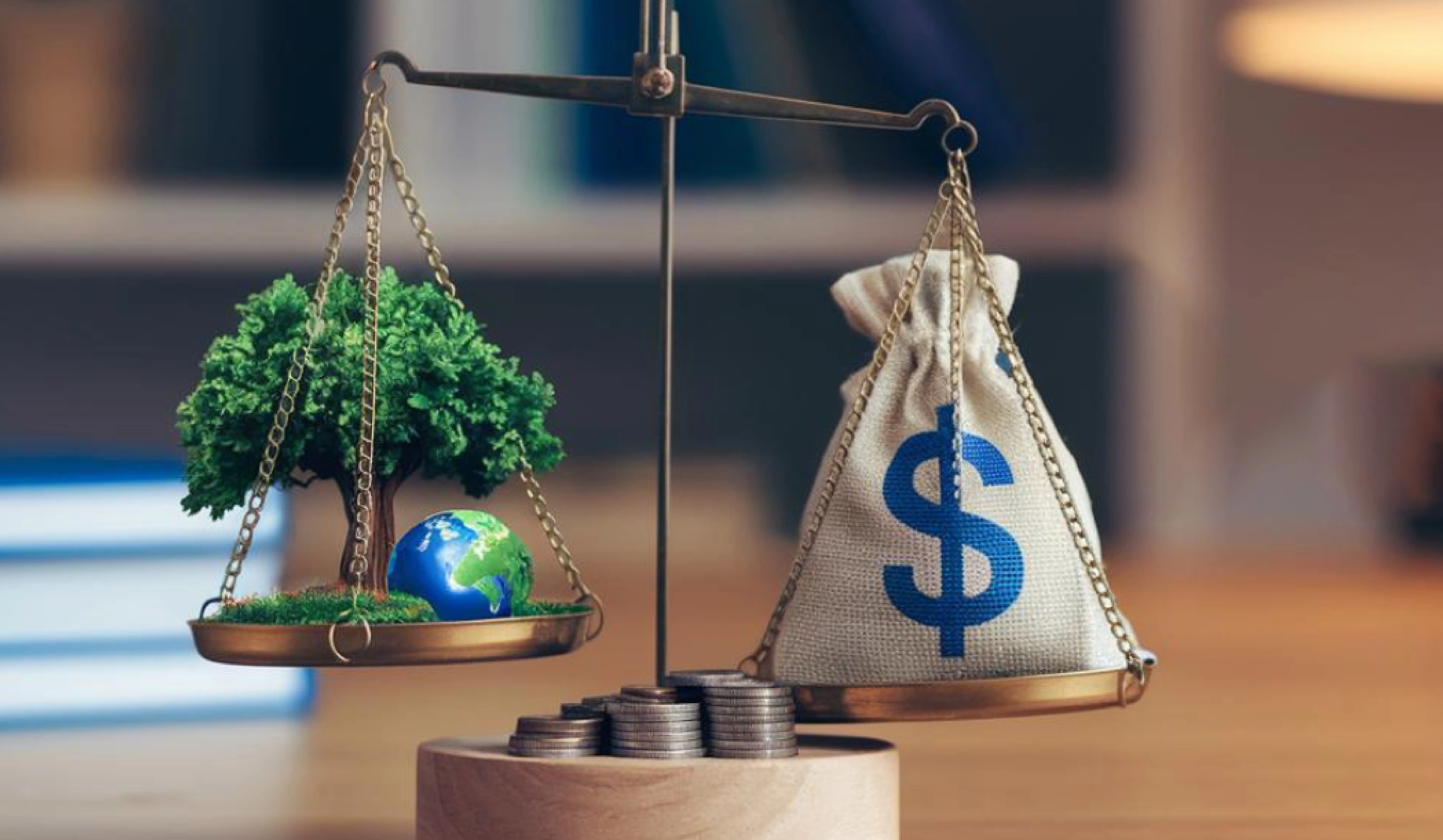 Weakening of India’s Environmental Laws