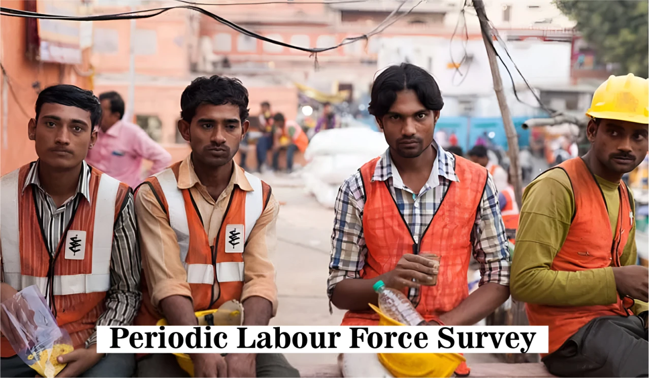 Periodic Labour Force Survey