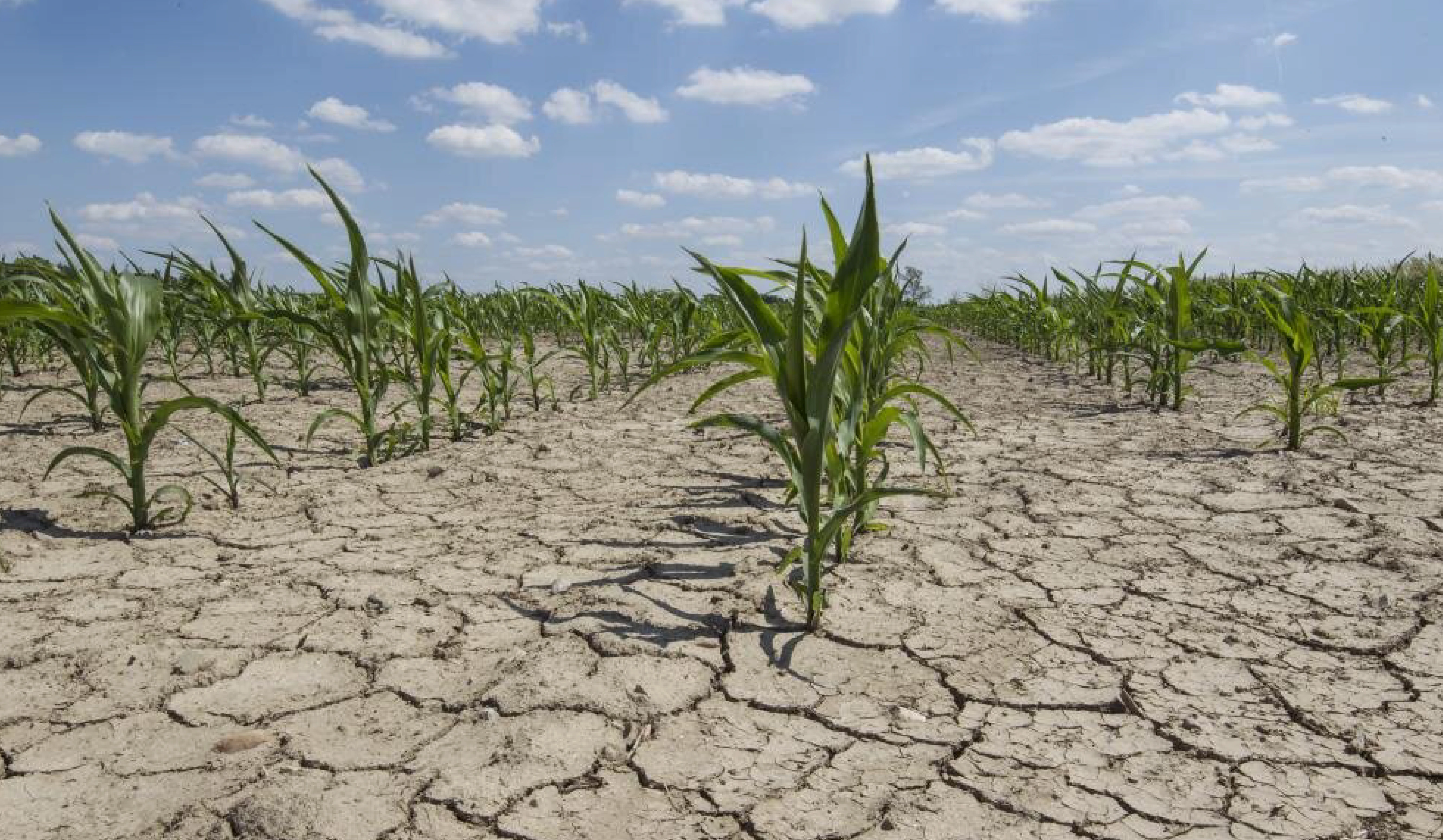 Soil Health Degradation in India