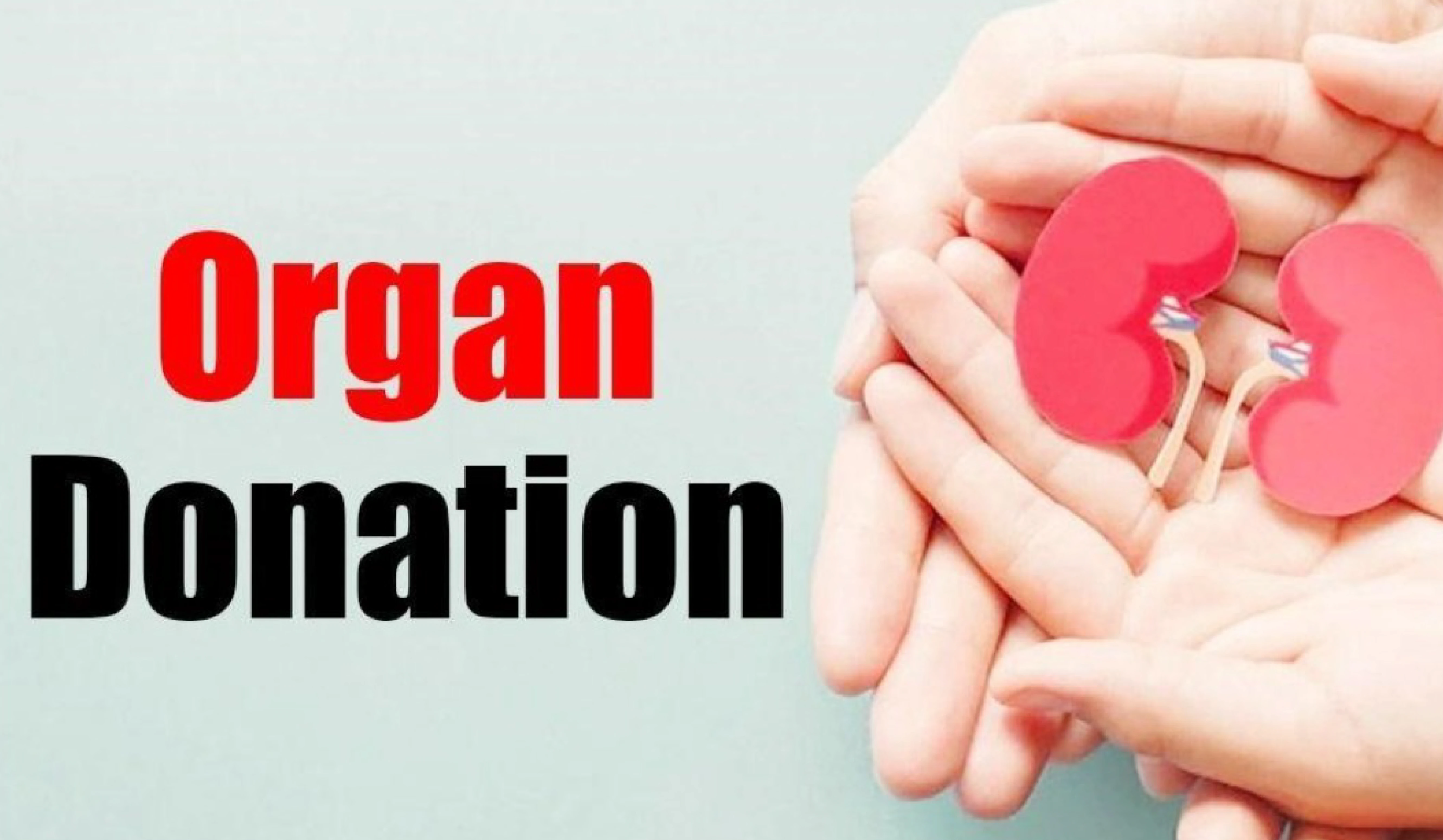 Organ Transplants in India