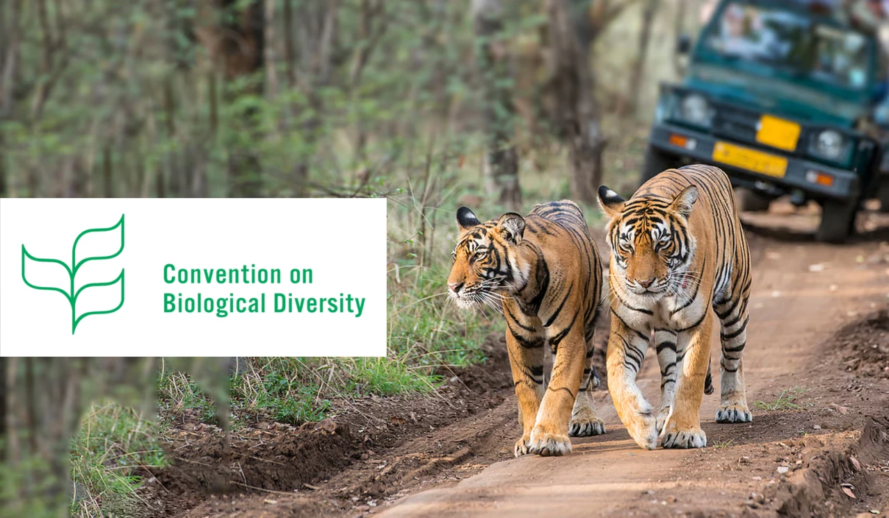 Convention on Biological Diversity (CBD)