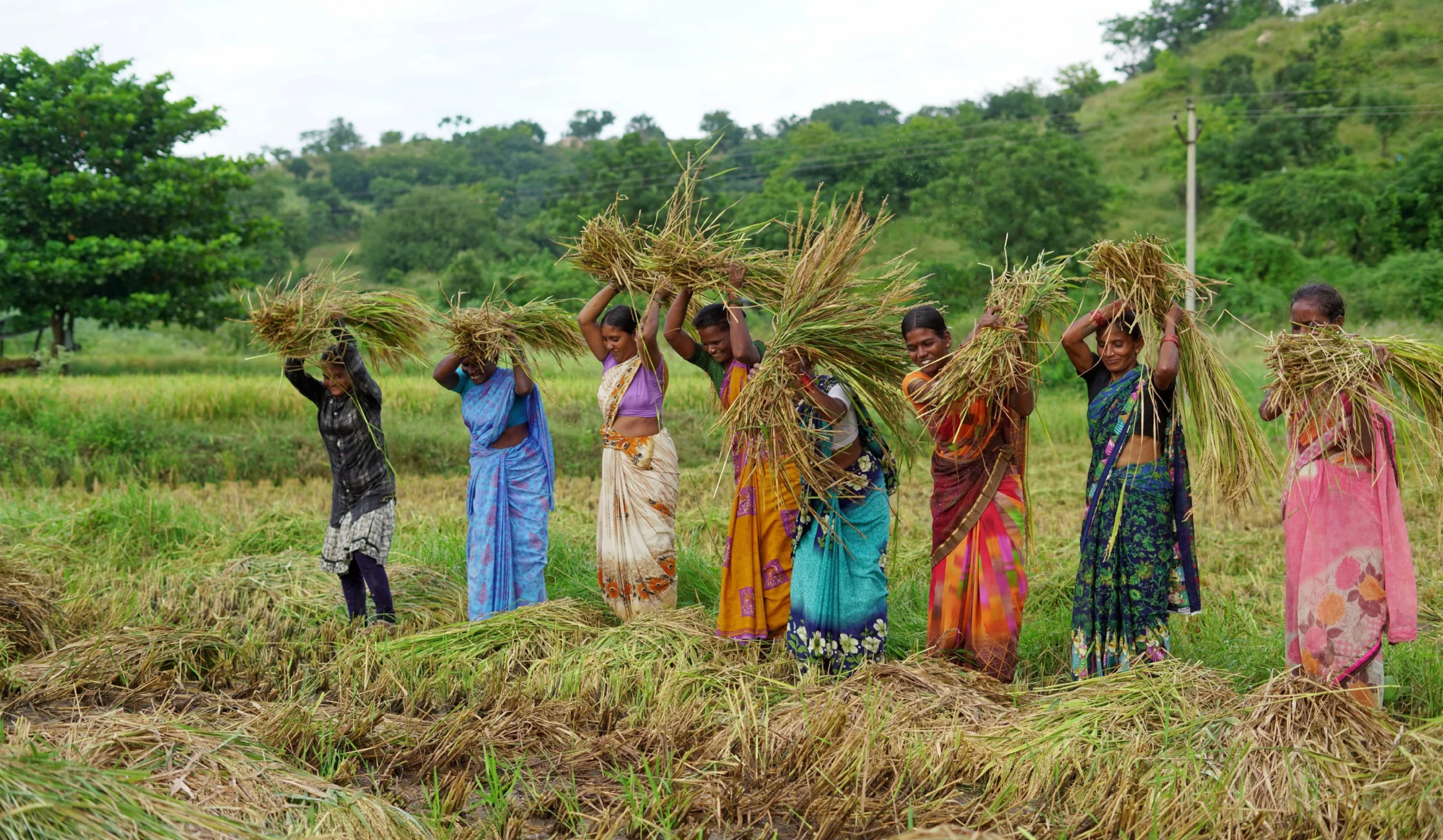 कृषि में महिलाओं का सशक्तिकरण