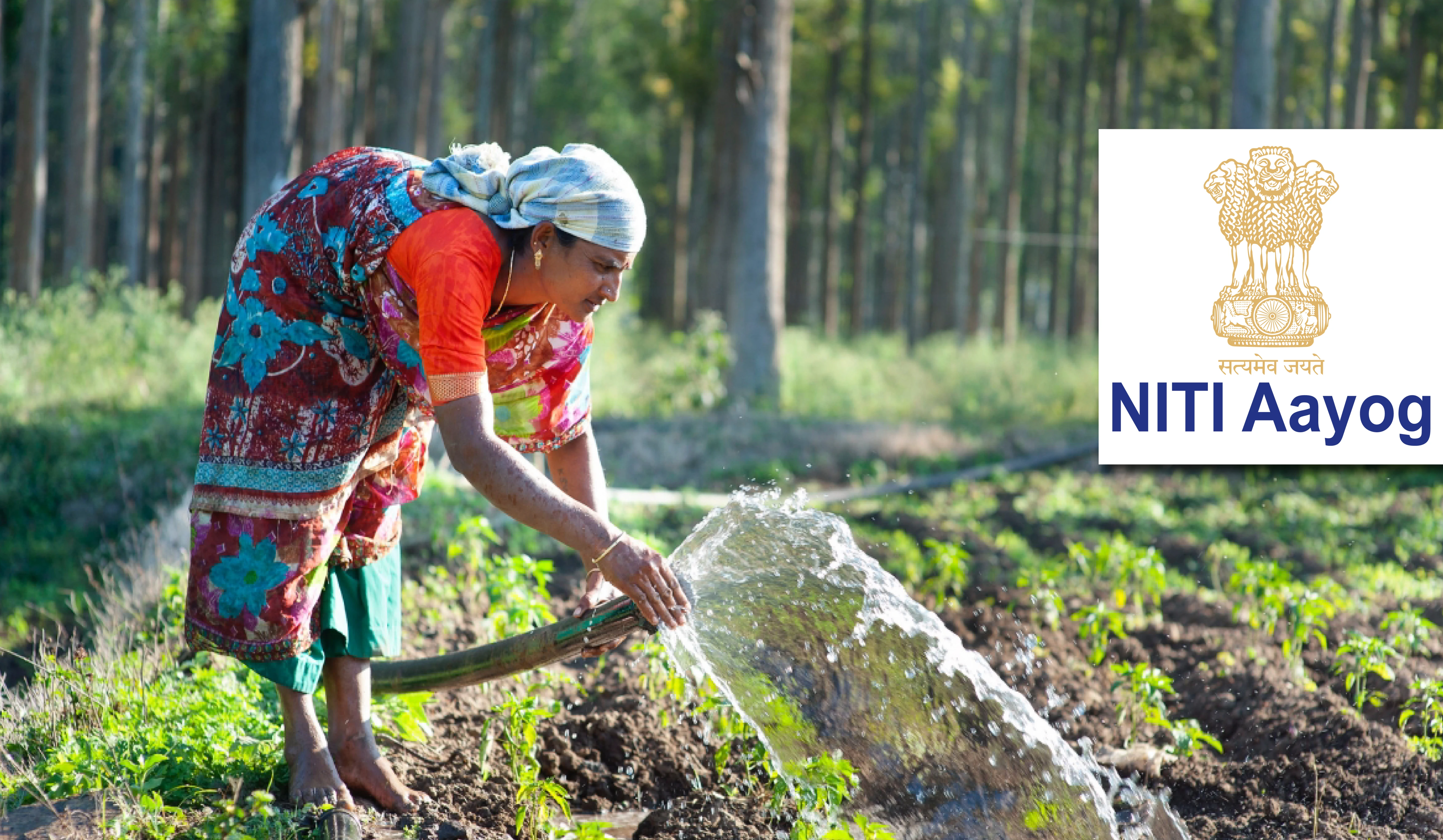 NITI Aayog’s report on Natural Farming