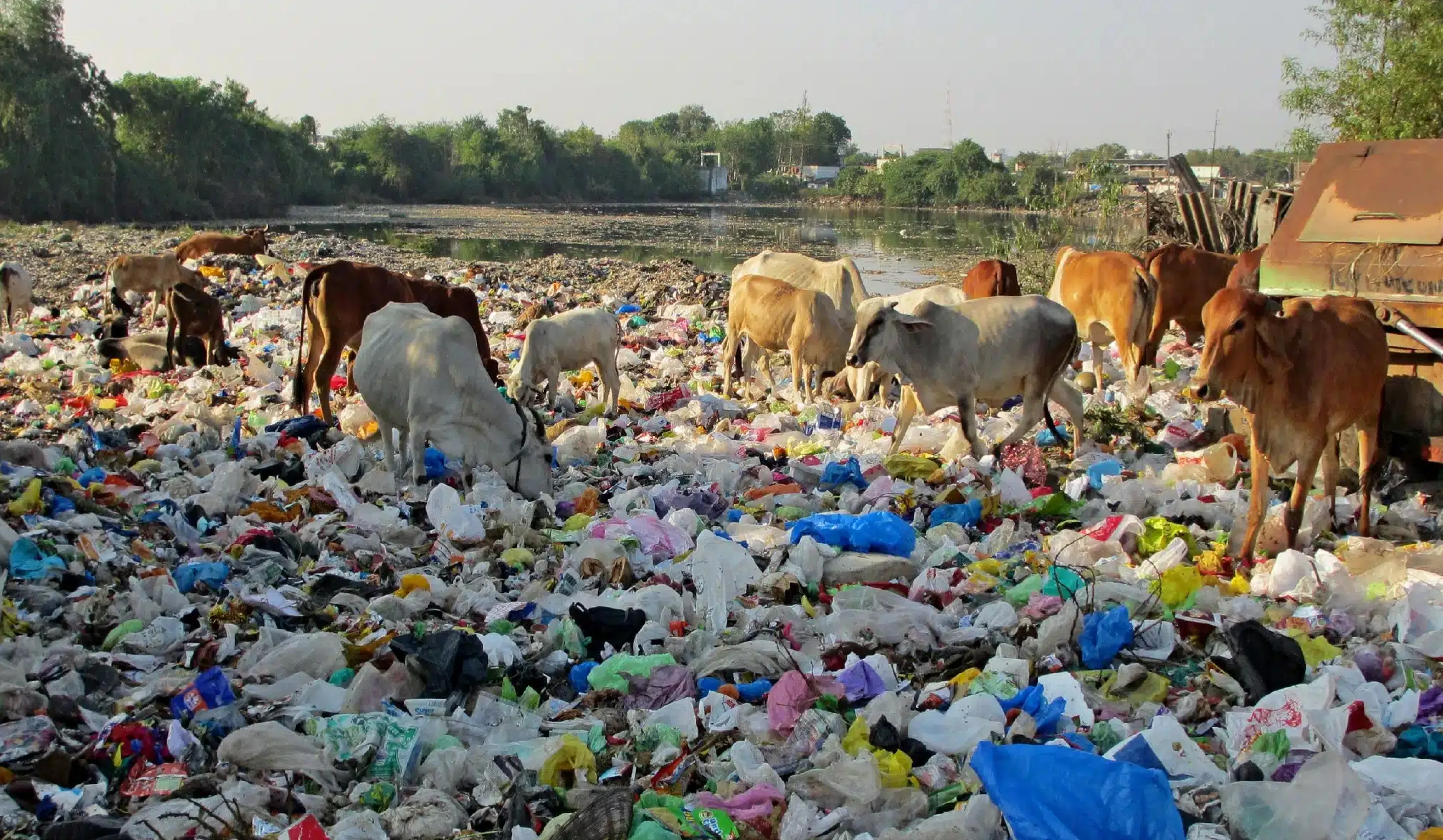Waste dumping to developing countries