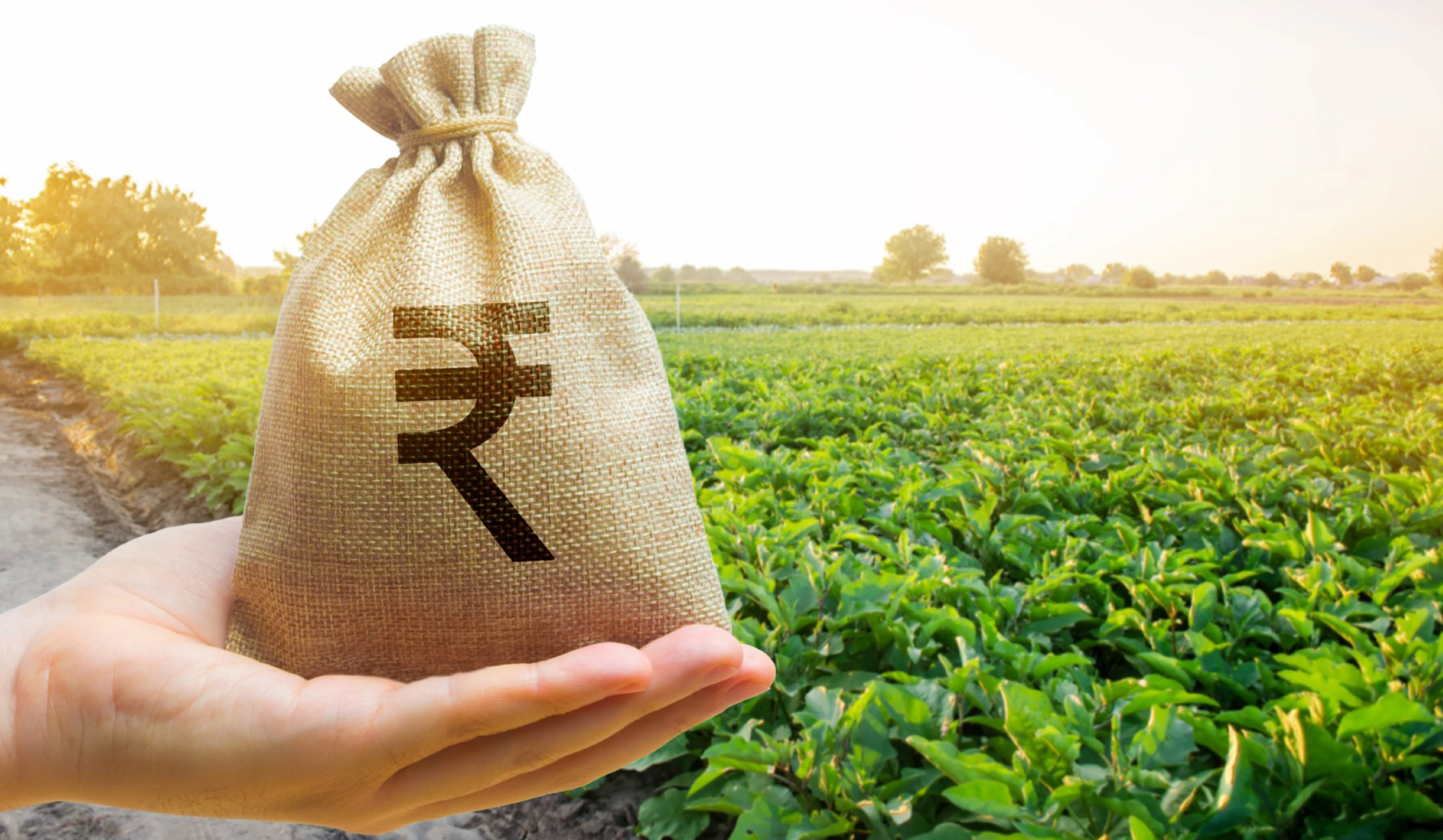 भारत में रिकॉर्ड कृषि उत्पादन