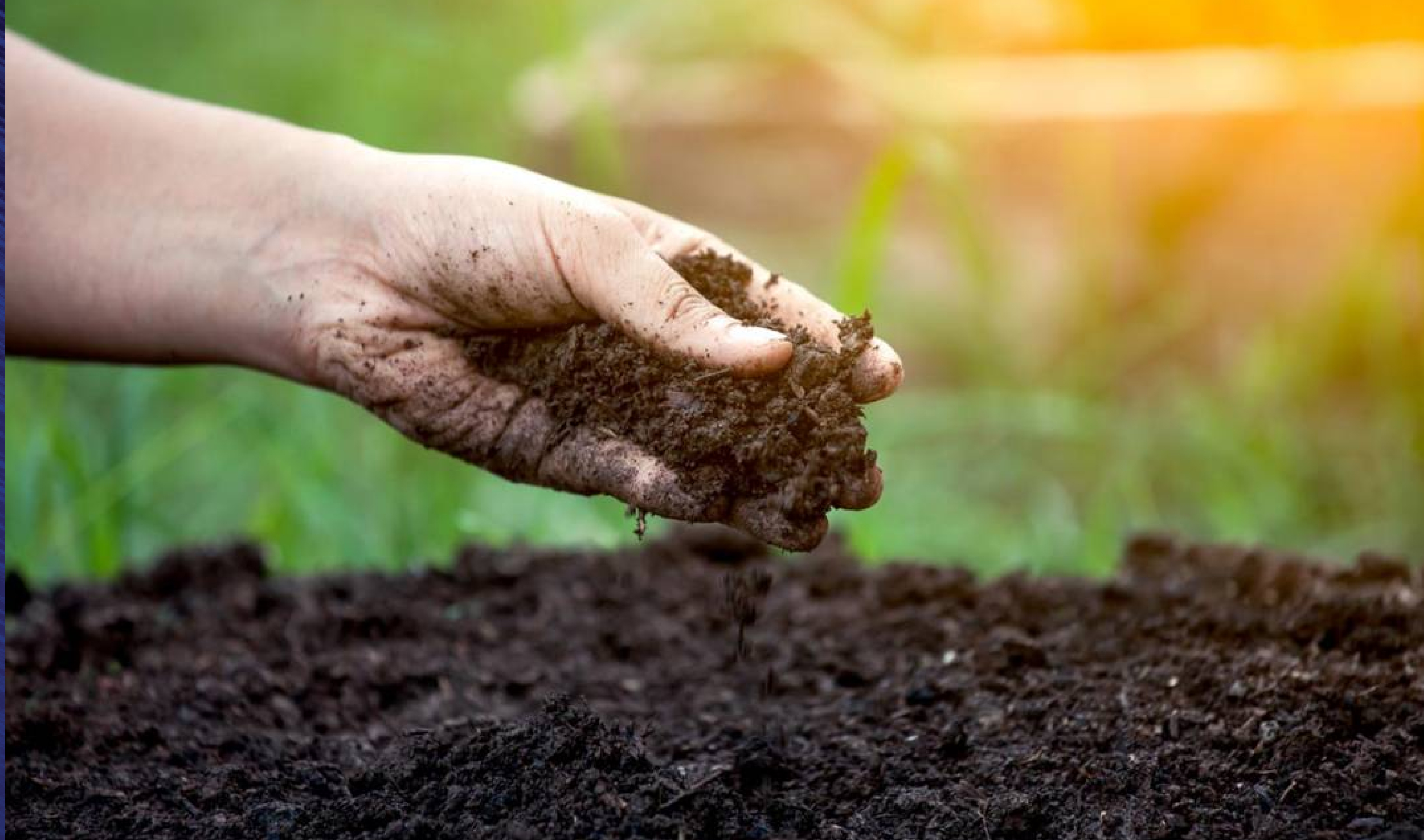 New World Soil Health Index announced by UNESCO at International conference on Soils held in Morocco