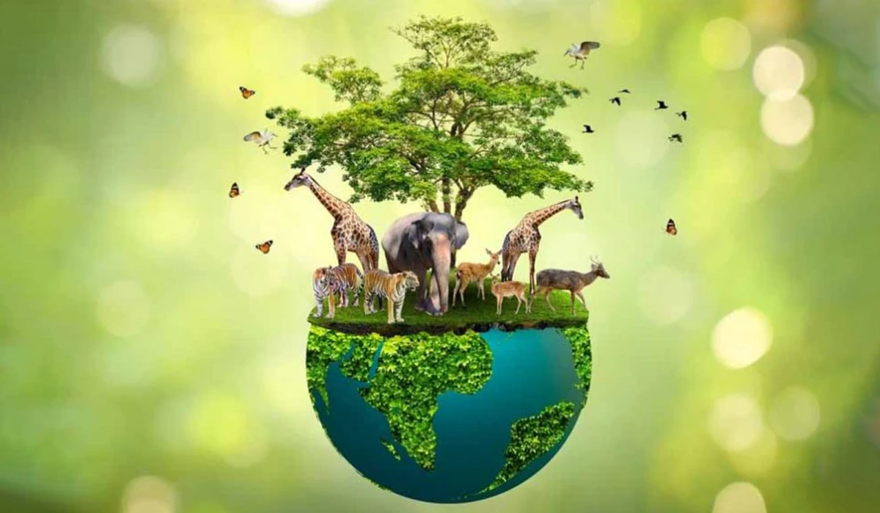 BDA, 2002 के क्रियान्वयन पर नया फ्रेमवर्क