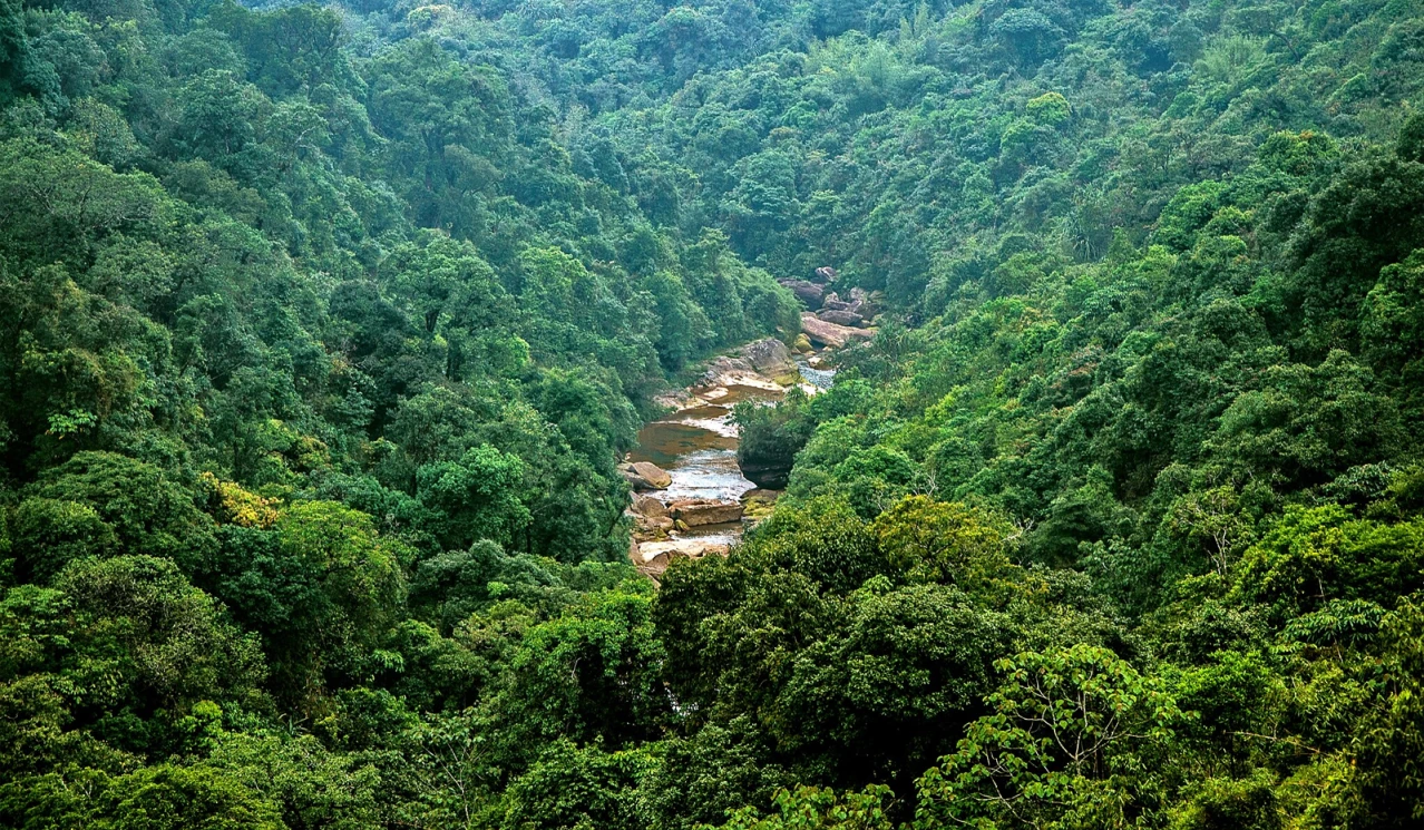 India’s Carbon Storage 