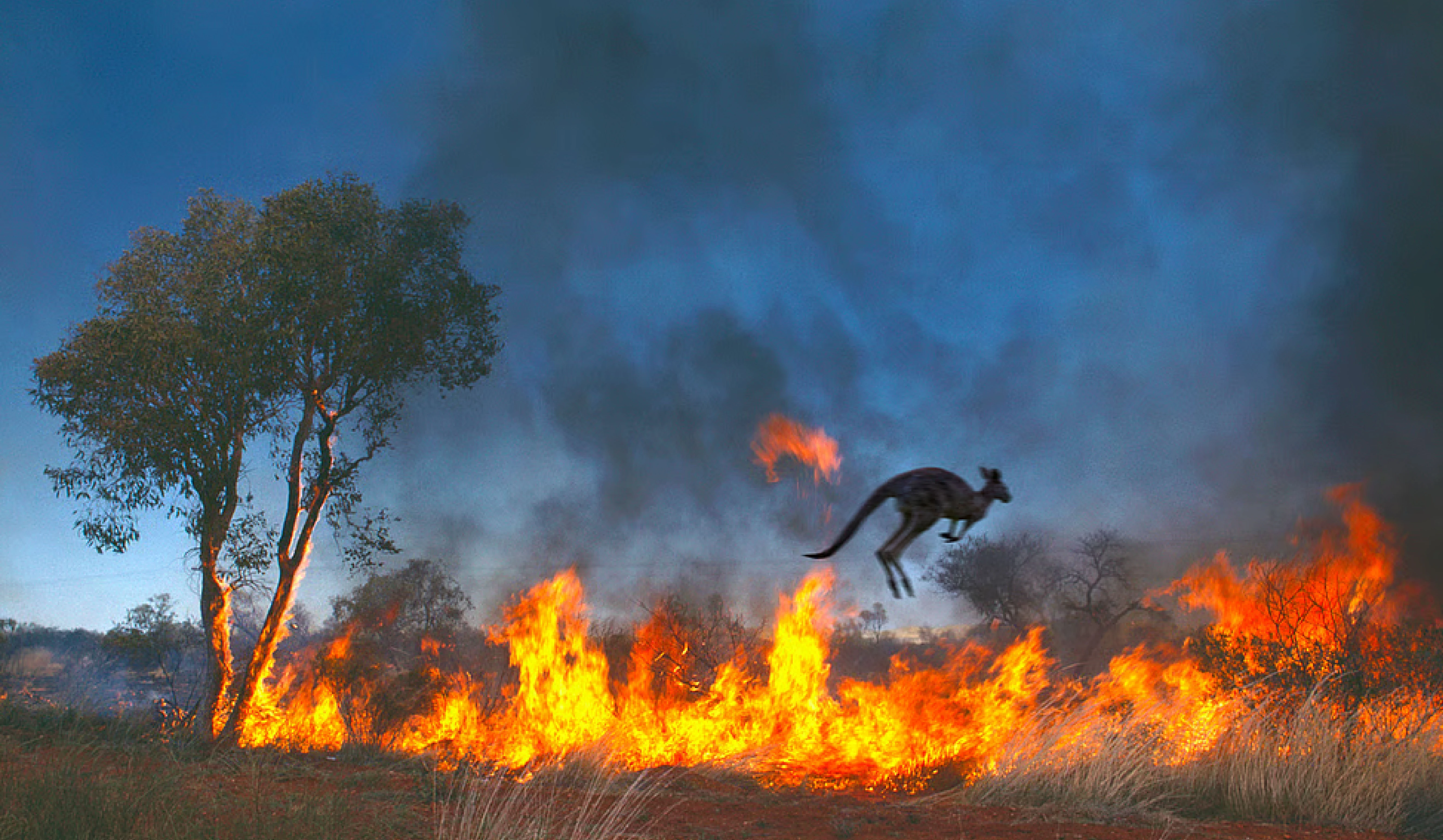 Threat to Terrestrial Biodiversity