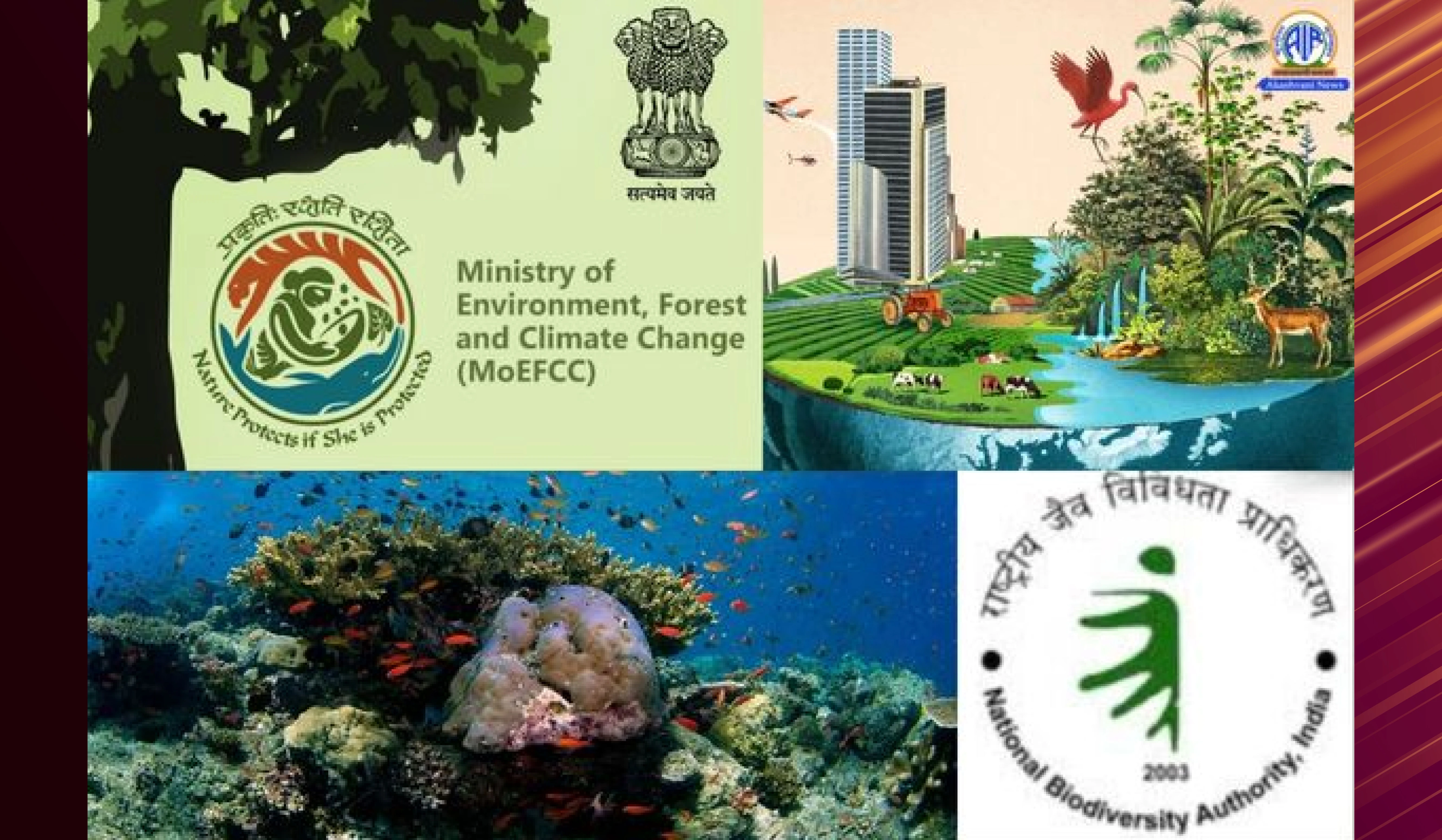 Challenges of FPOs in India