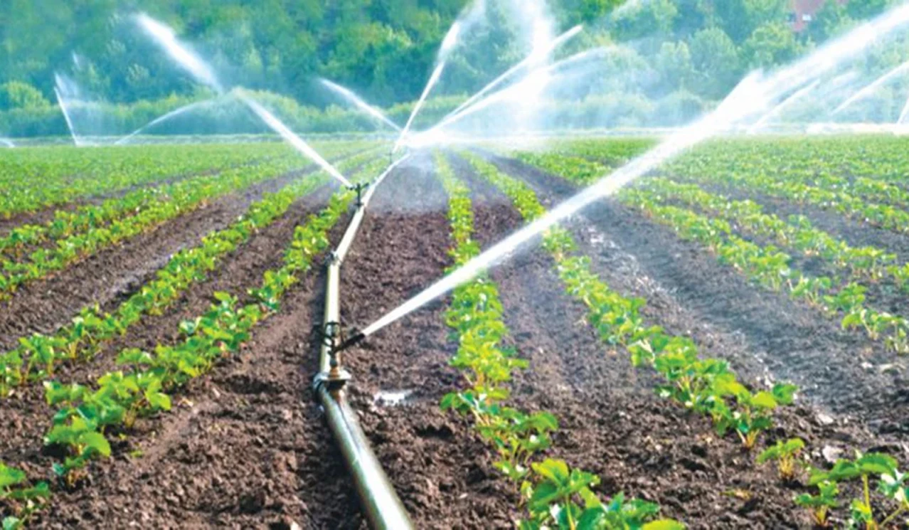 Micro Irrigation under NMSA