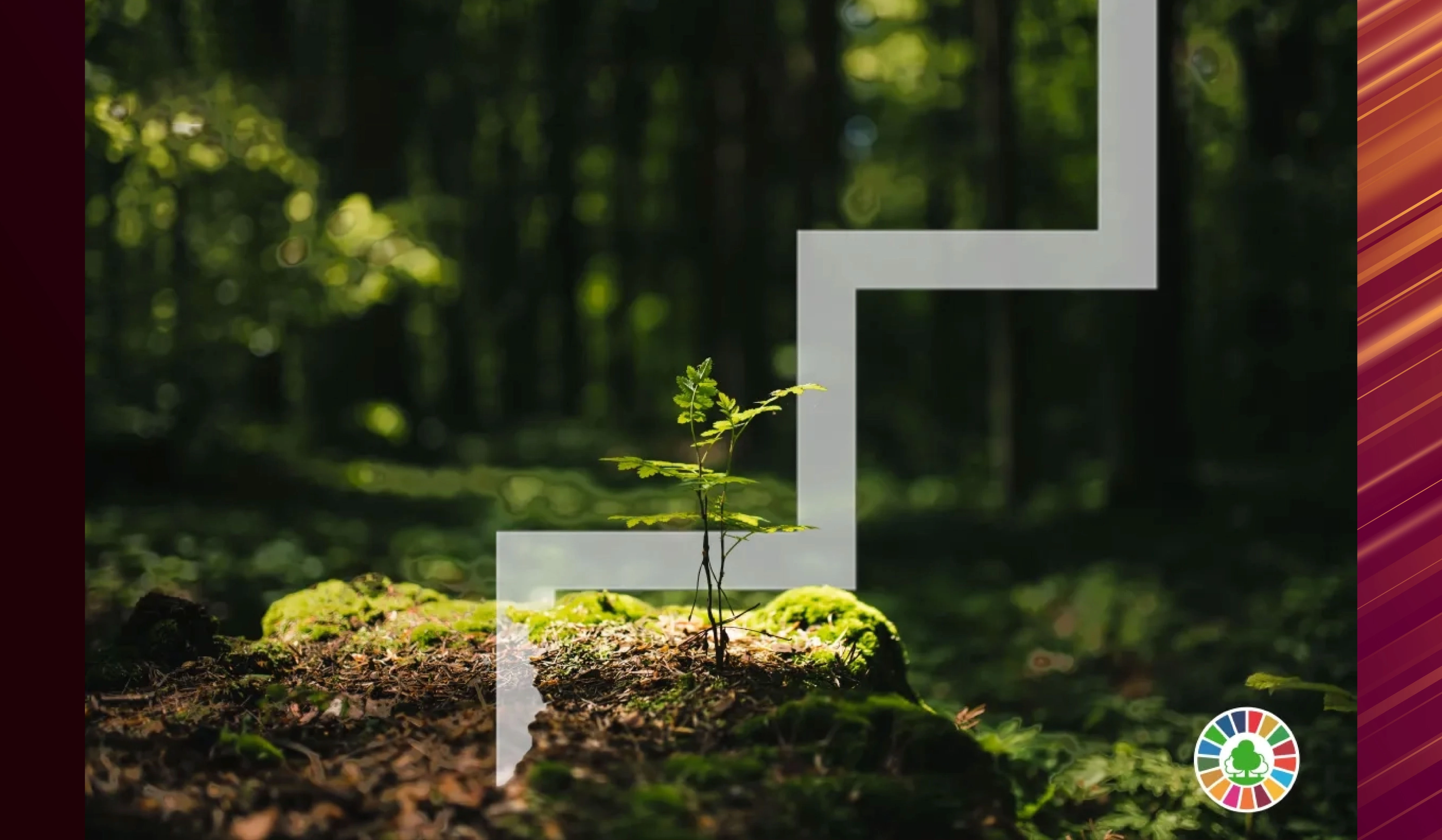Global Forest Goals (GFG) Report 2026