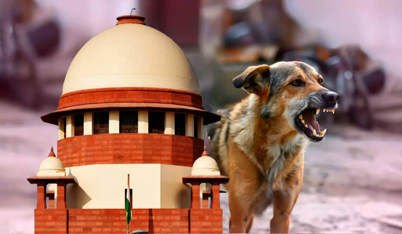SC allows Euthanasia of Rabid, Dangerous Dogs