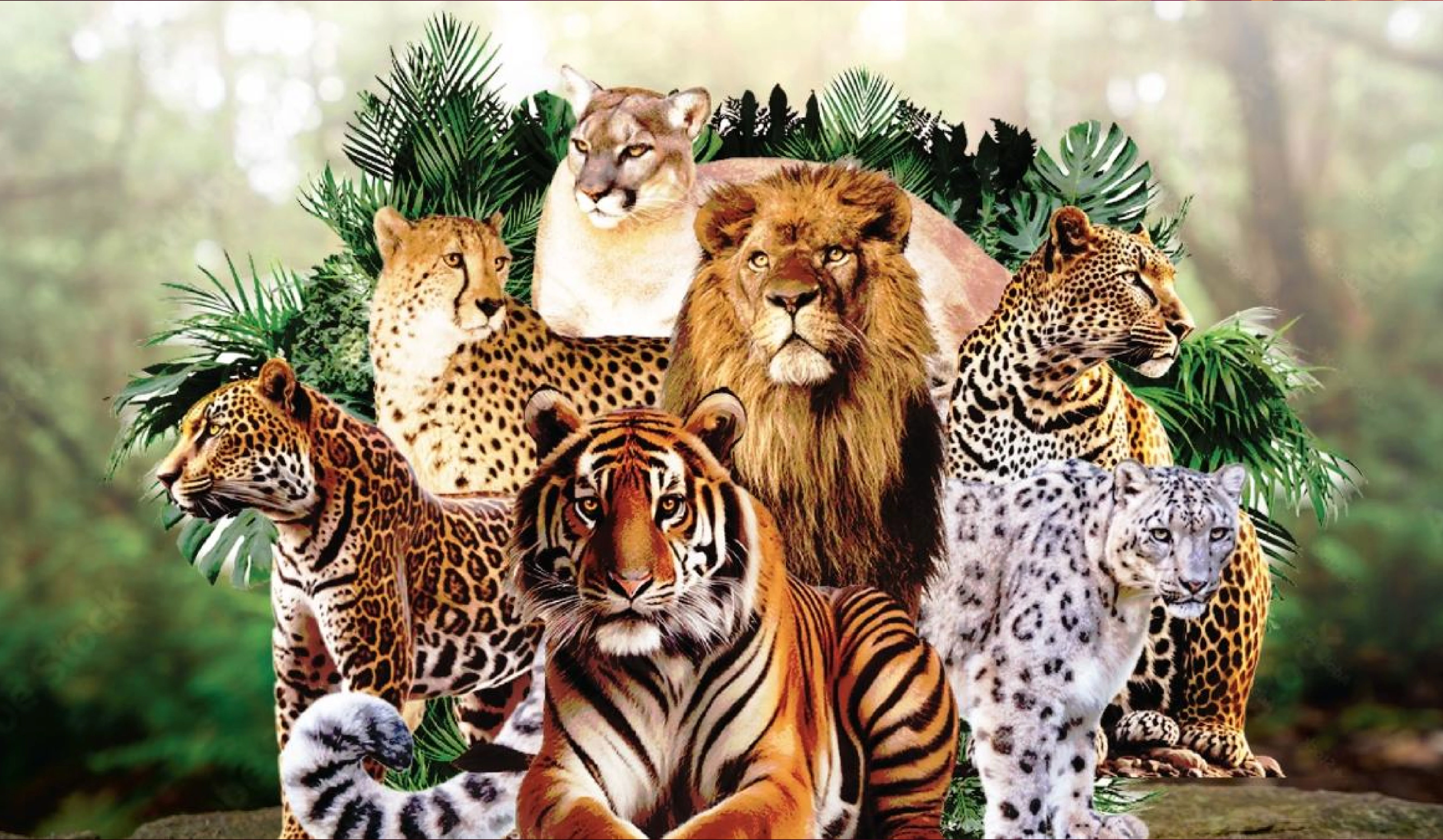 International Big Cat Alliance