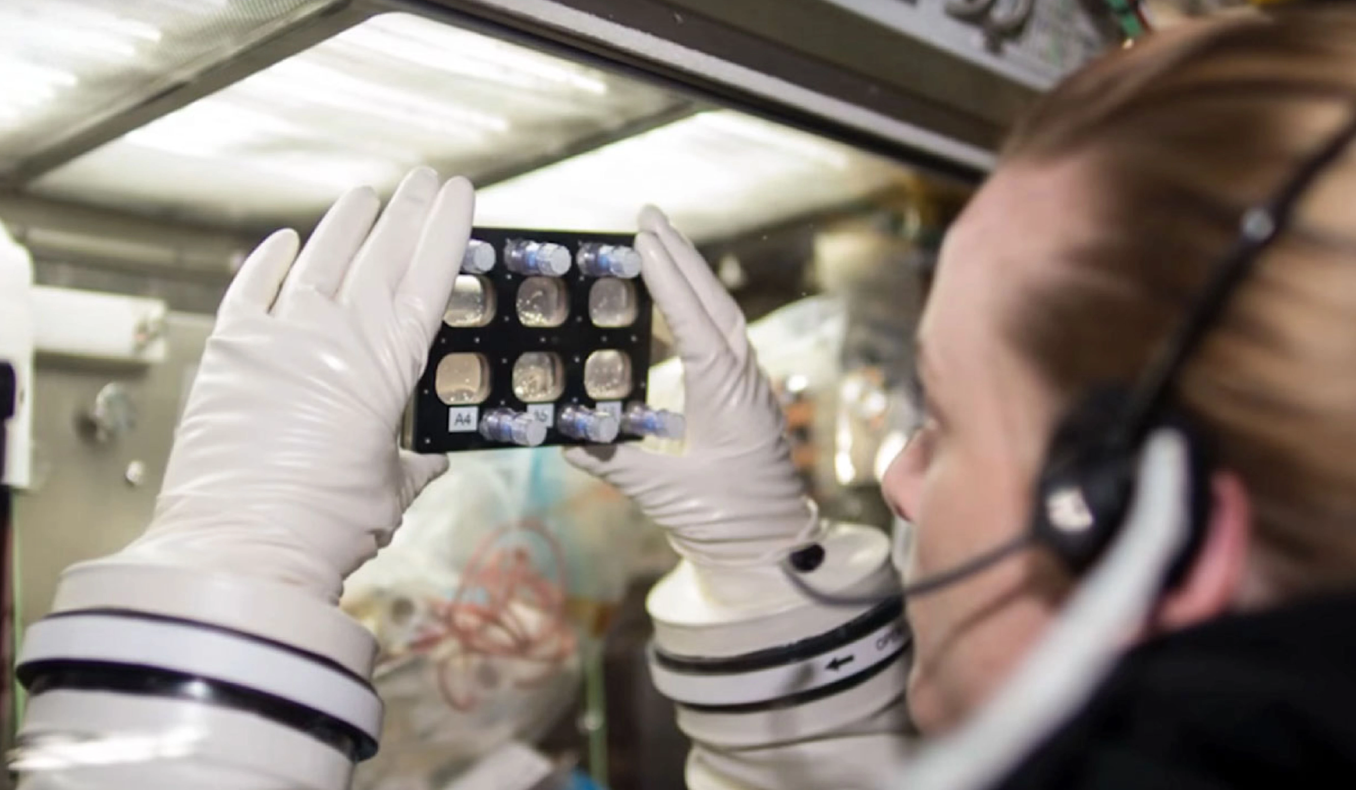Growing Stem Cells in Space