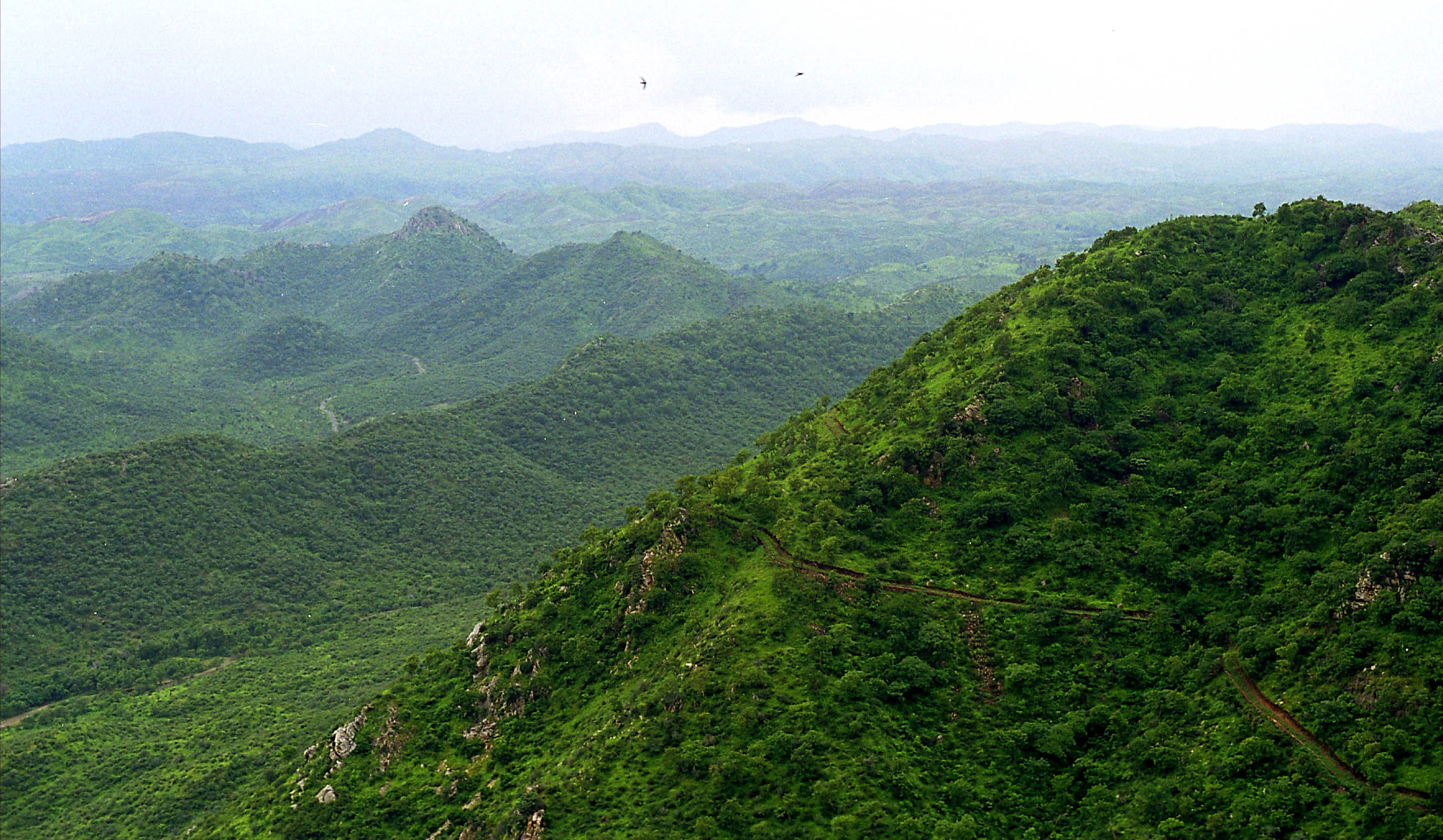 Importance of Aravallis