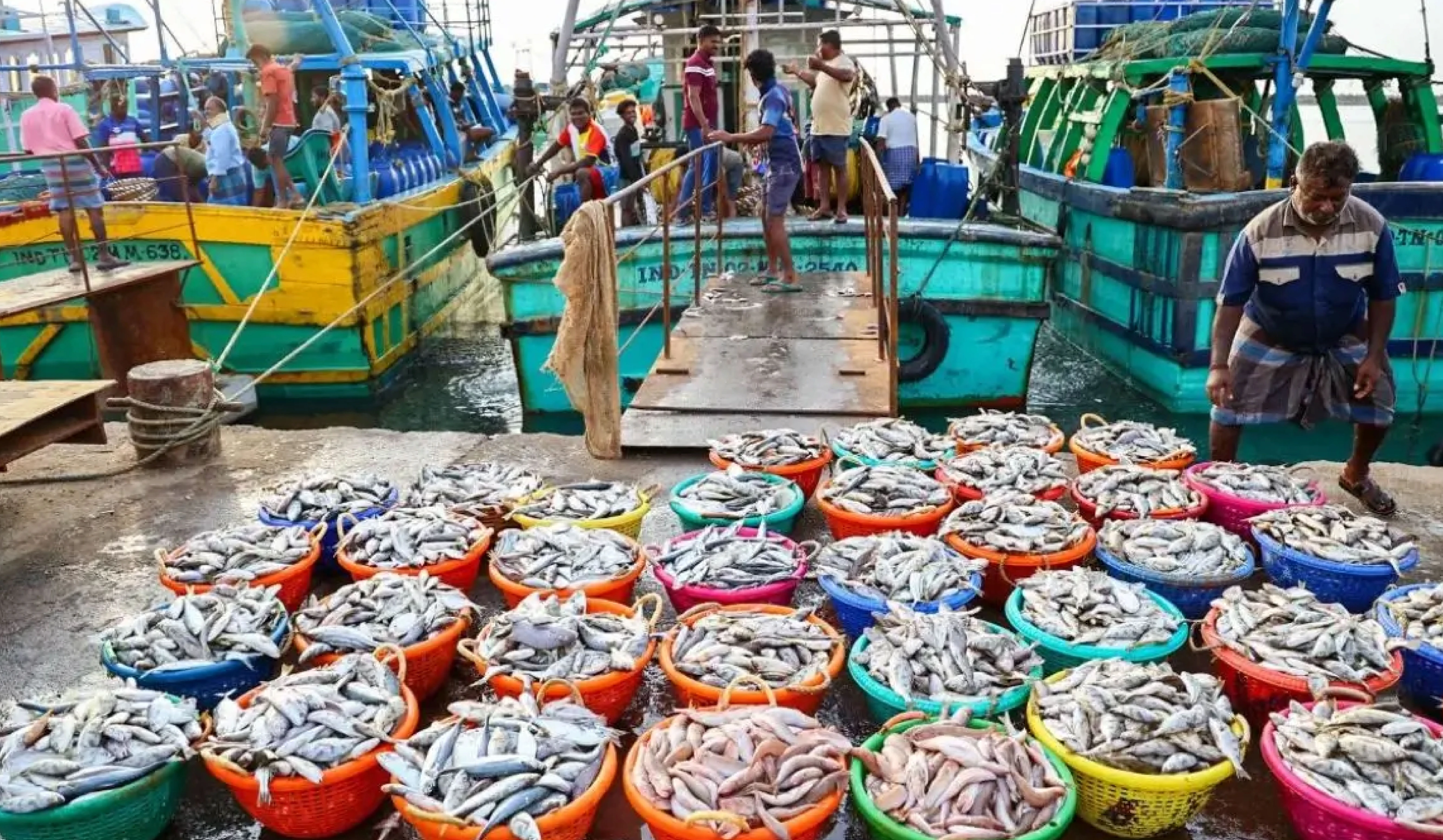 Record High Exports in India’s Seafood Sector 