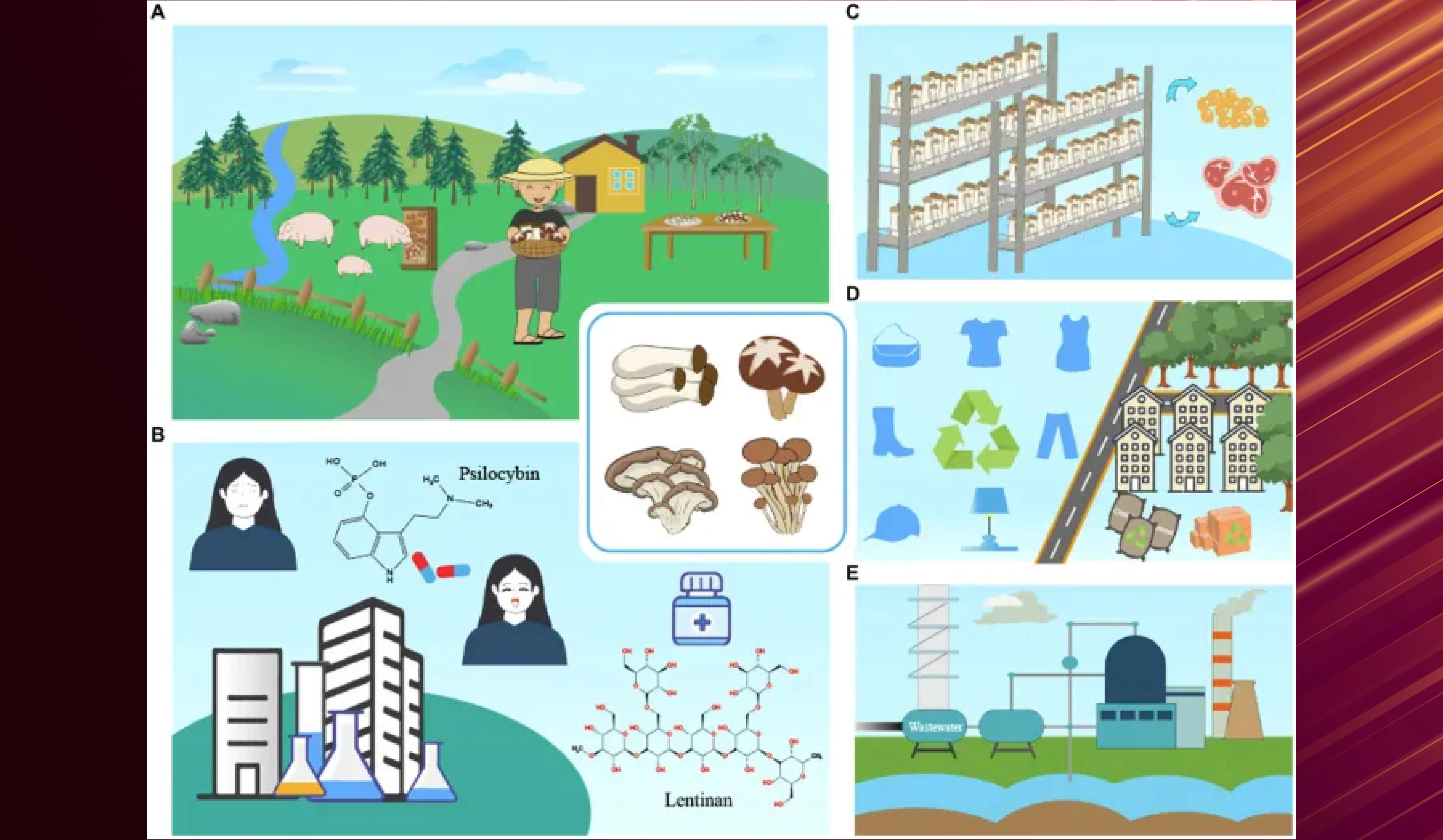 Synthetic Biology