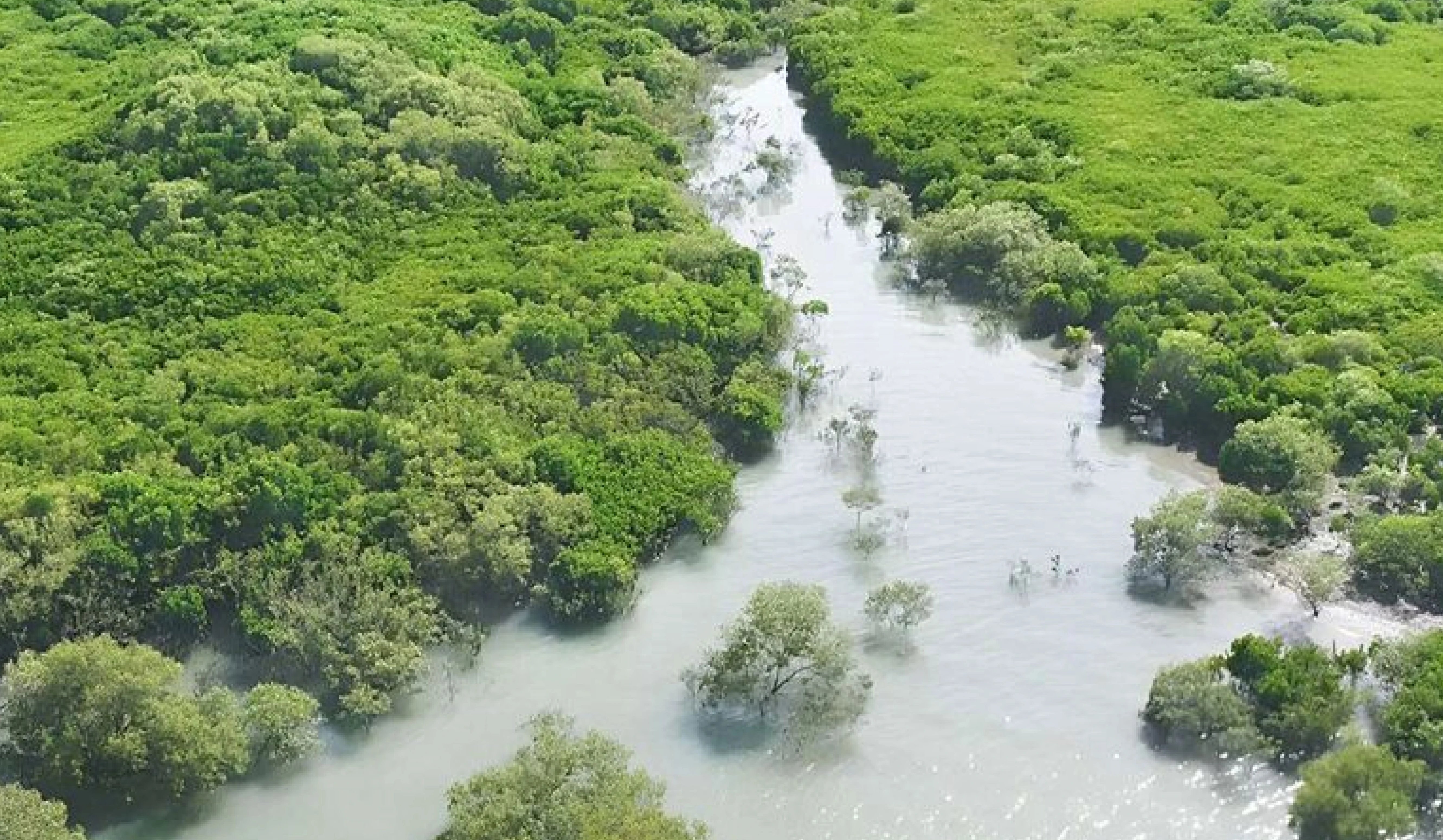 Species Conservation Programme