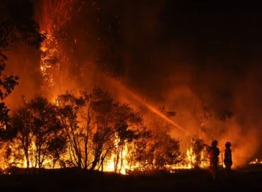 Wildfires in Europe 