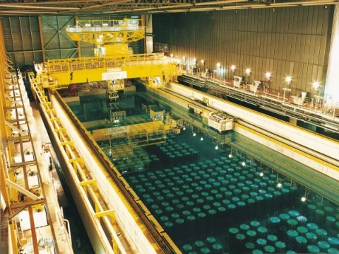 Nuclear Waste Management