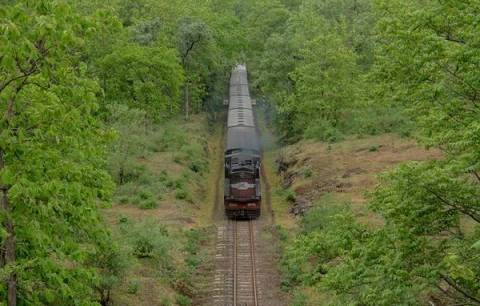 Satpura–Melghat Tiger Corridors