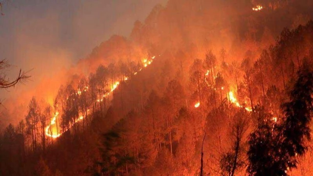 Forest Fires in in Himalayan Region