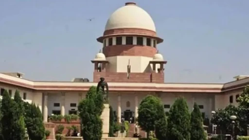 Supreme Court lays guidelines for re-arresting  