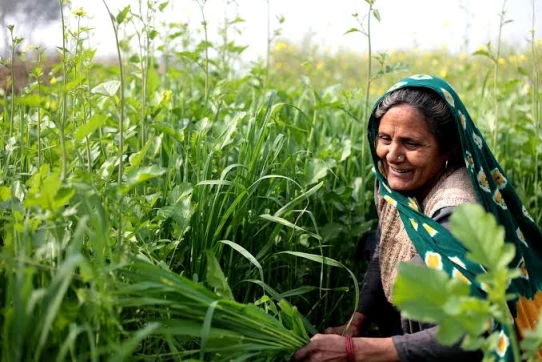 Empowering Women Farmers