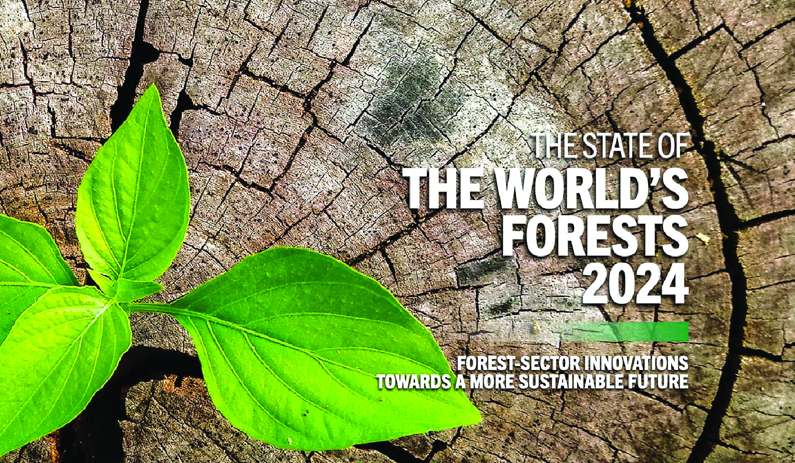 Food and Agriculture Organization (FAO) released State of the World’s Forests 2024 Report