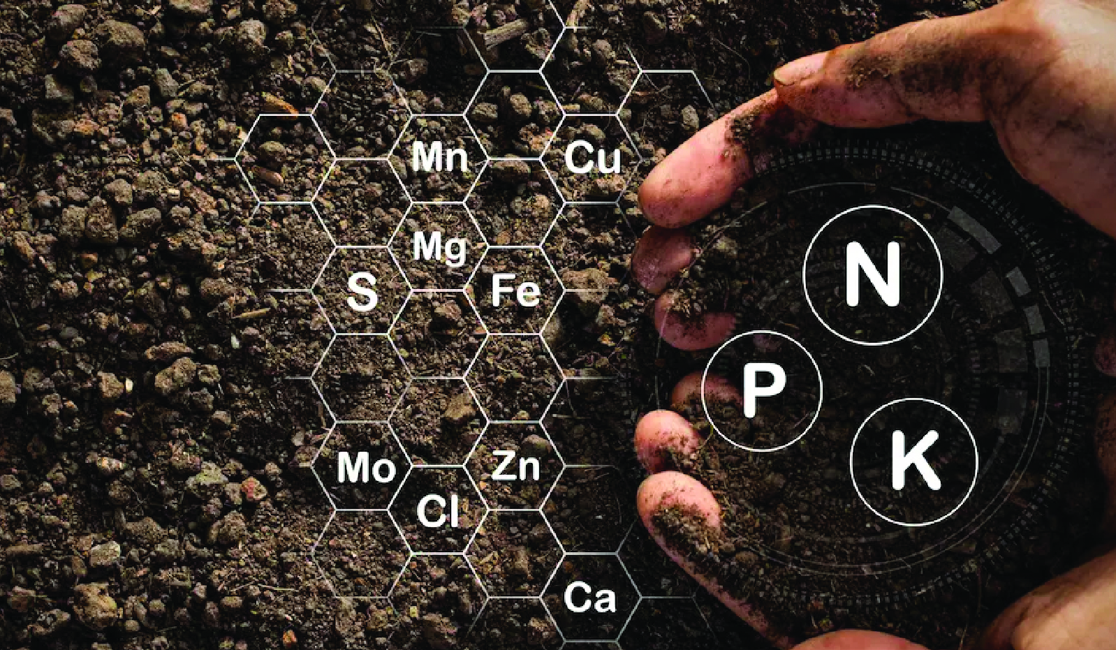 Experiments reveal that Integrated Nutrient Management maintained Soil Fertility