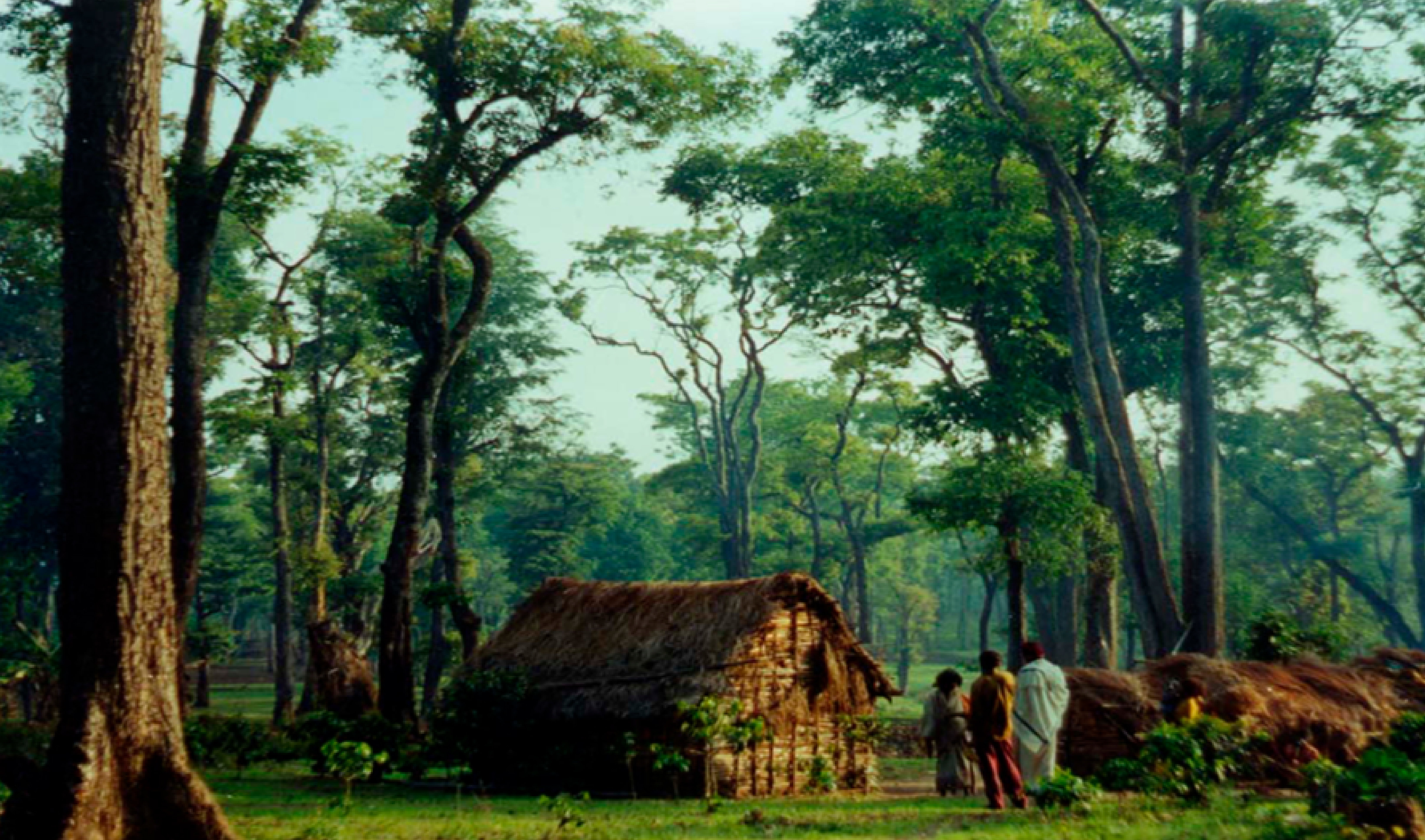 District Level Committee approves Habitat Rights for Juangs of Keonjhar, a PVTG  in Odisha