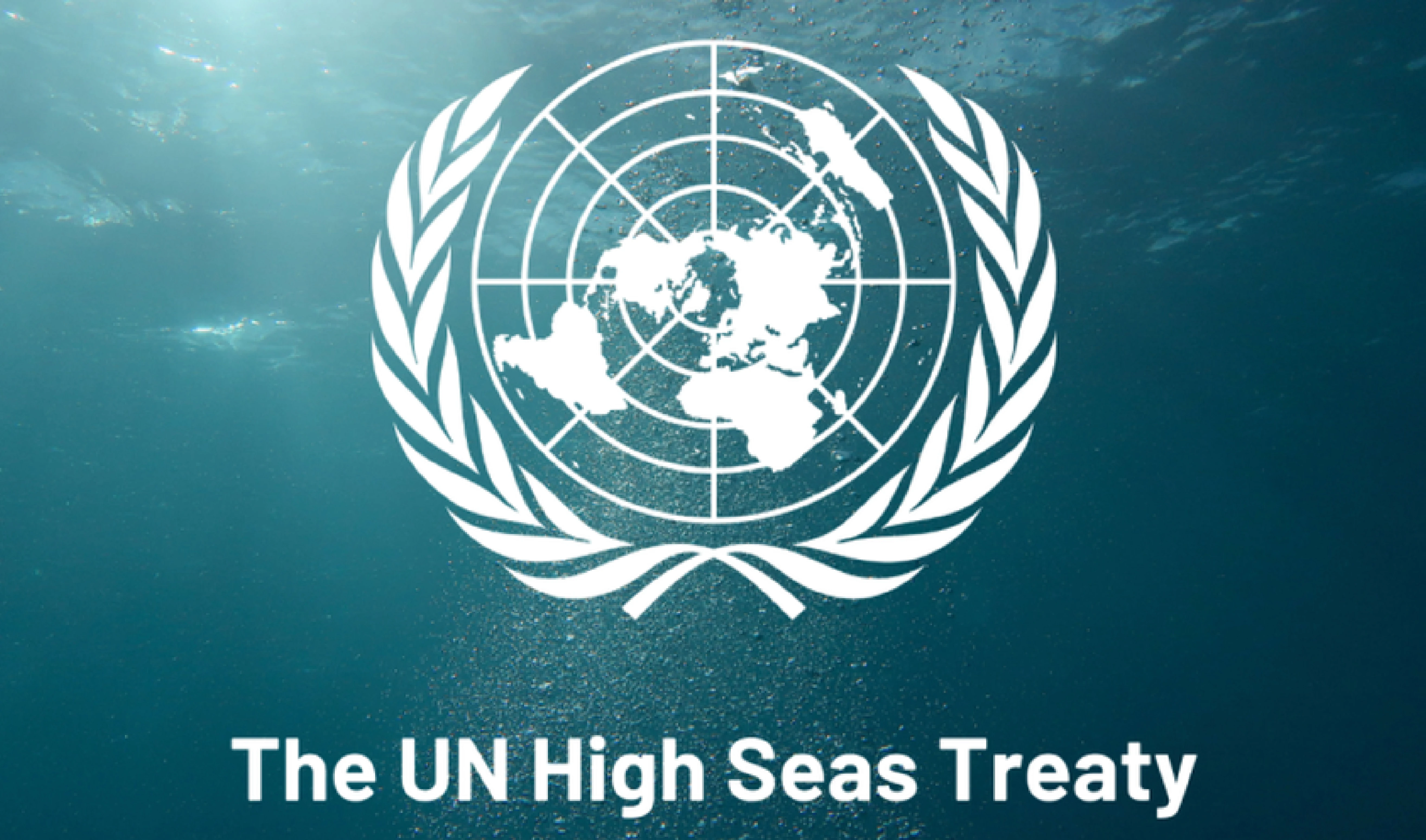 High Seas Treaty