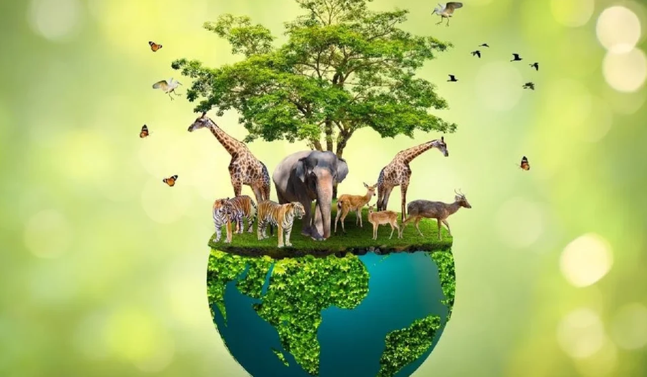 Union Cabinet approved continuation of Integrated Development of Wildlife Habitats