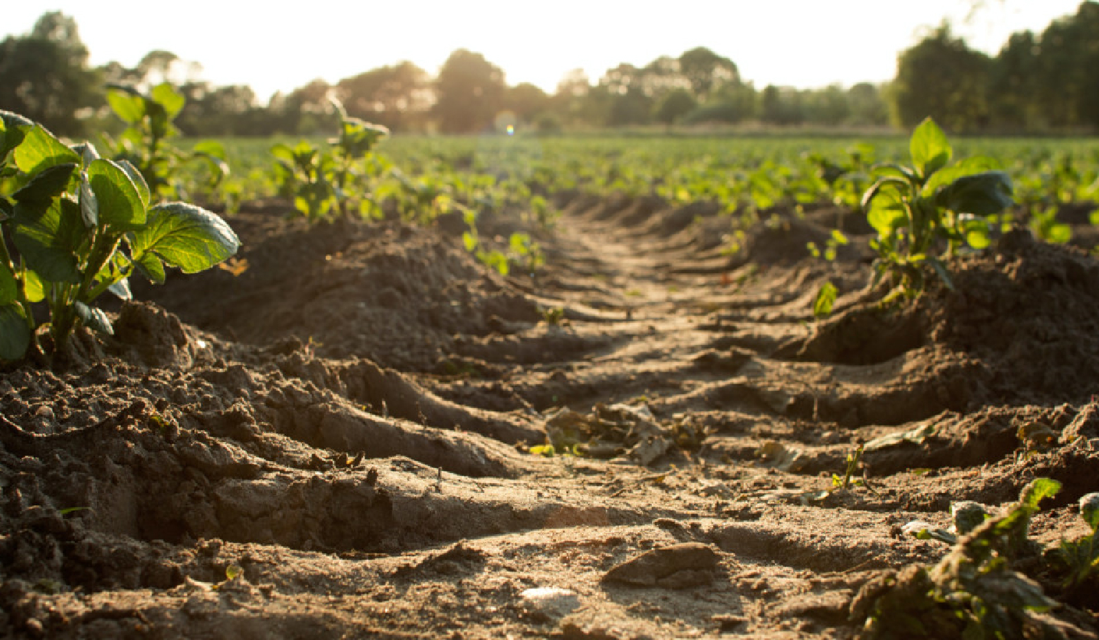 ‘Geospatial Modeling and Mapping of Soil Erosion in India’ study published by IIT-Delhi