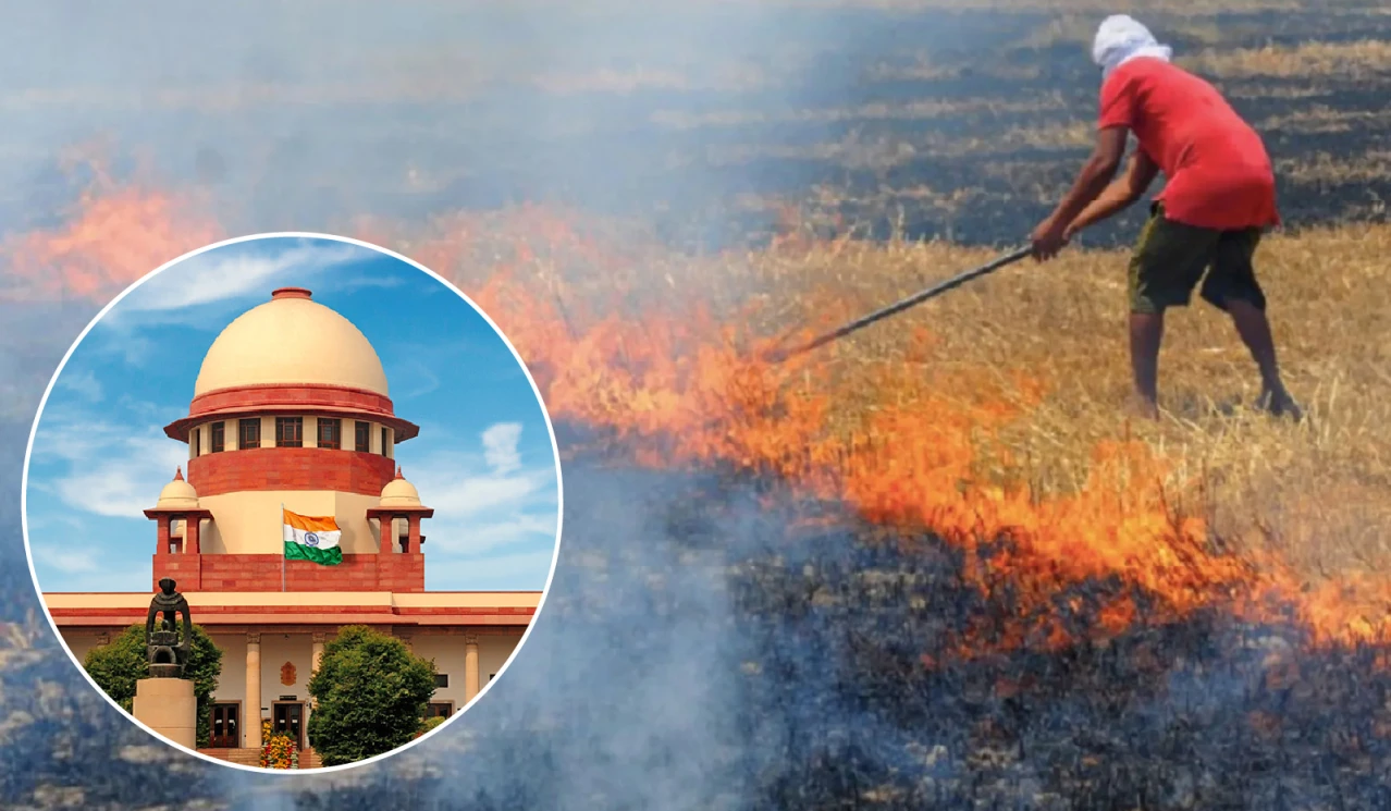 Supreme Court expressed concern over non-action by states of Punjab & Haryana against Stubble Burning