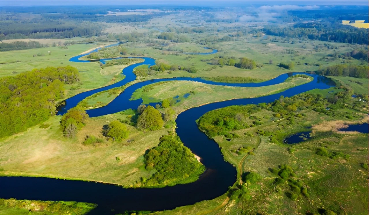 New assessment highlights role of Wetlands in National Biodiversity Strategies and Action Plans (NBSAP)