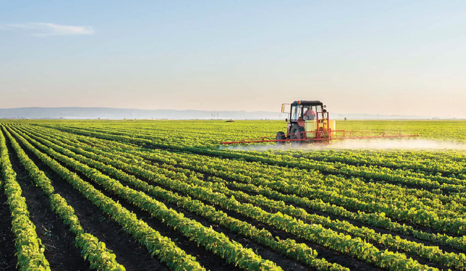 World Bank released ‘Recipe for a Livable Planet: Achieving Net Zero Emissions in the Agrifood System’ report