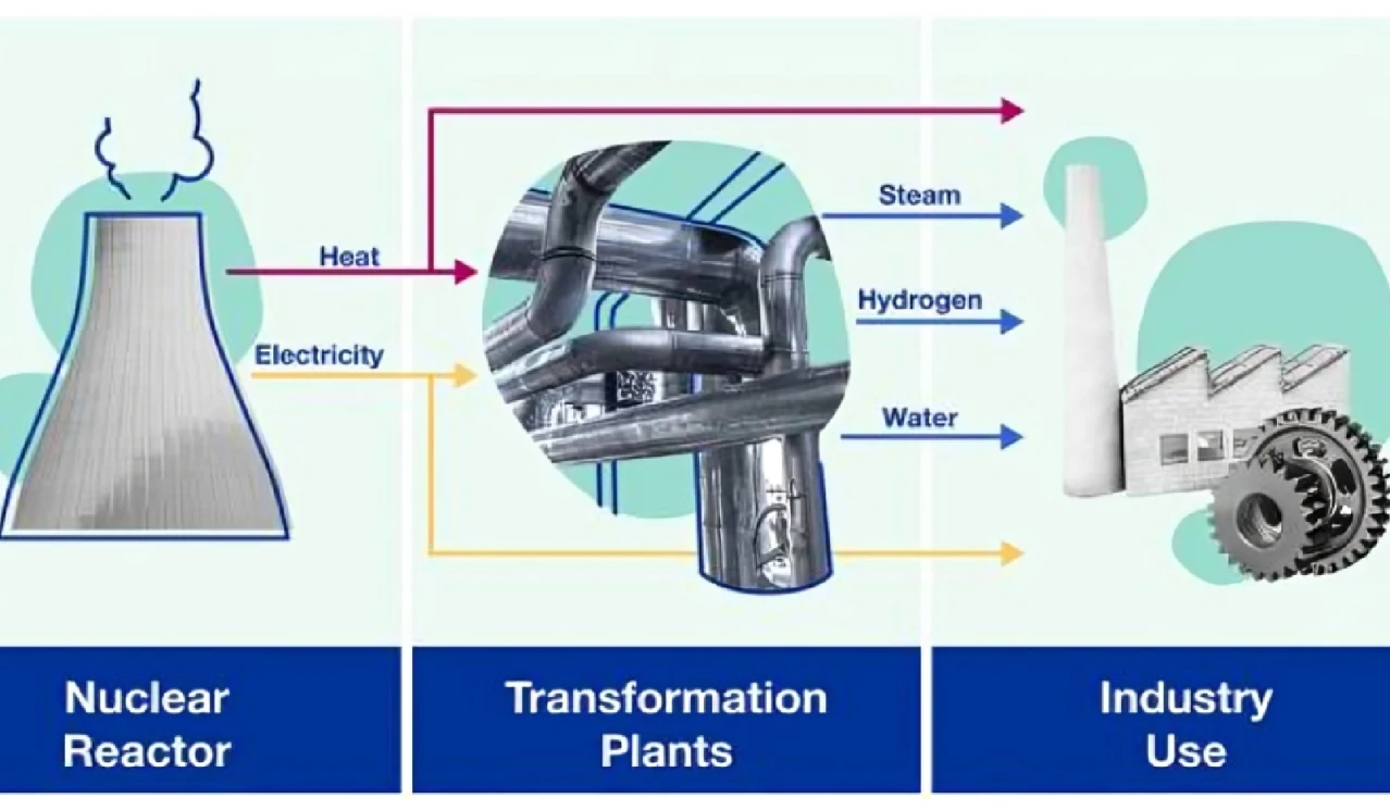 International Atomic Energy Agency (IAEA) highlighted role of Nuclear Techniques