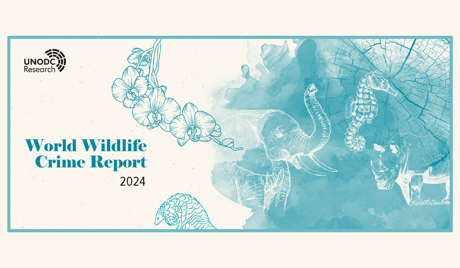 United Nations Office on Drugs and Crime (UNODC) released World Wildlife Crime Report 2024  