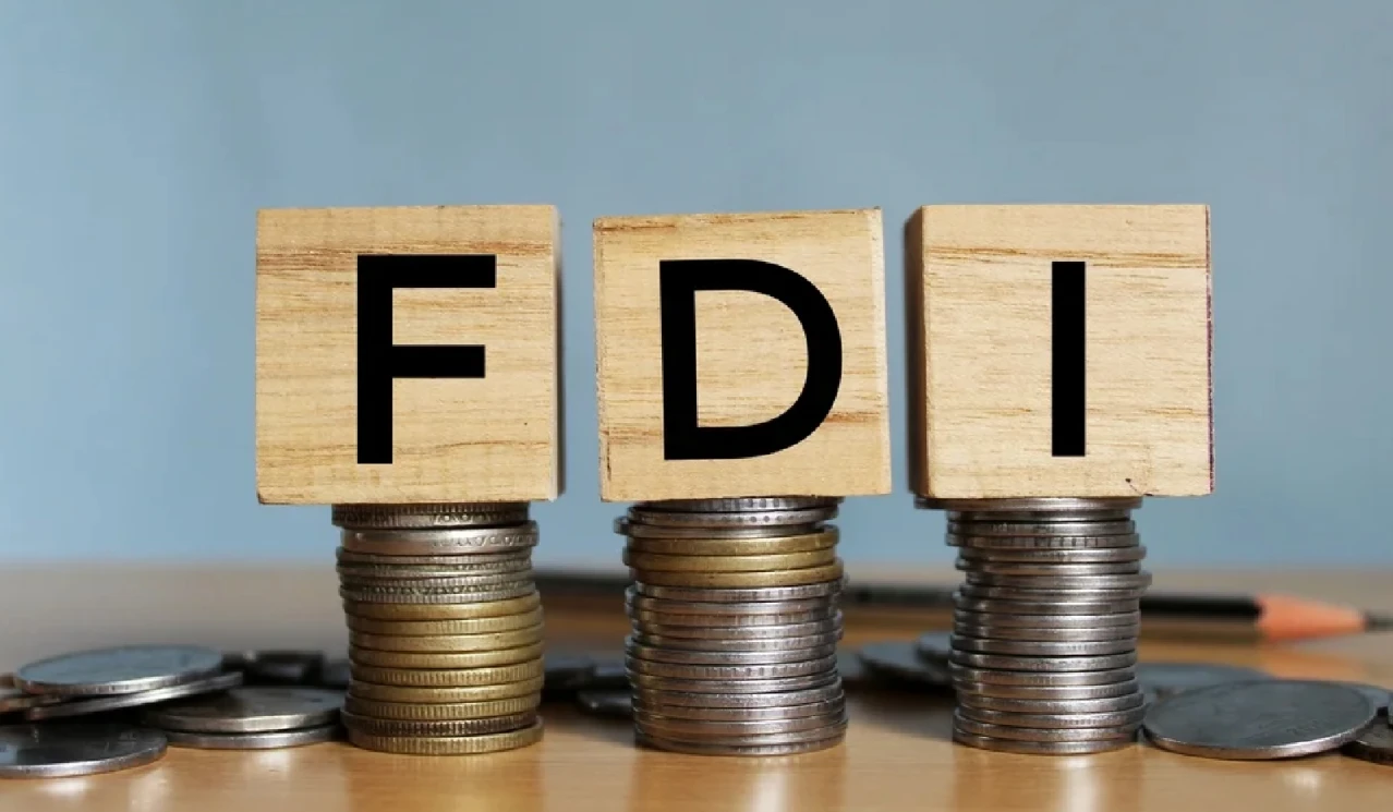 Foreign Direct Investment (FDI)
