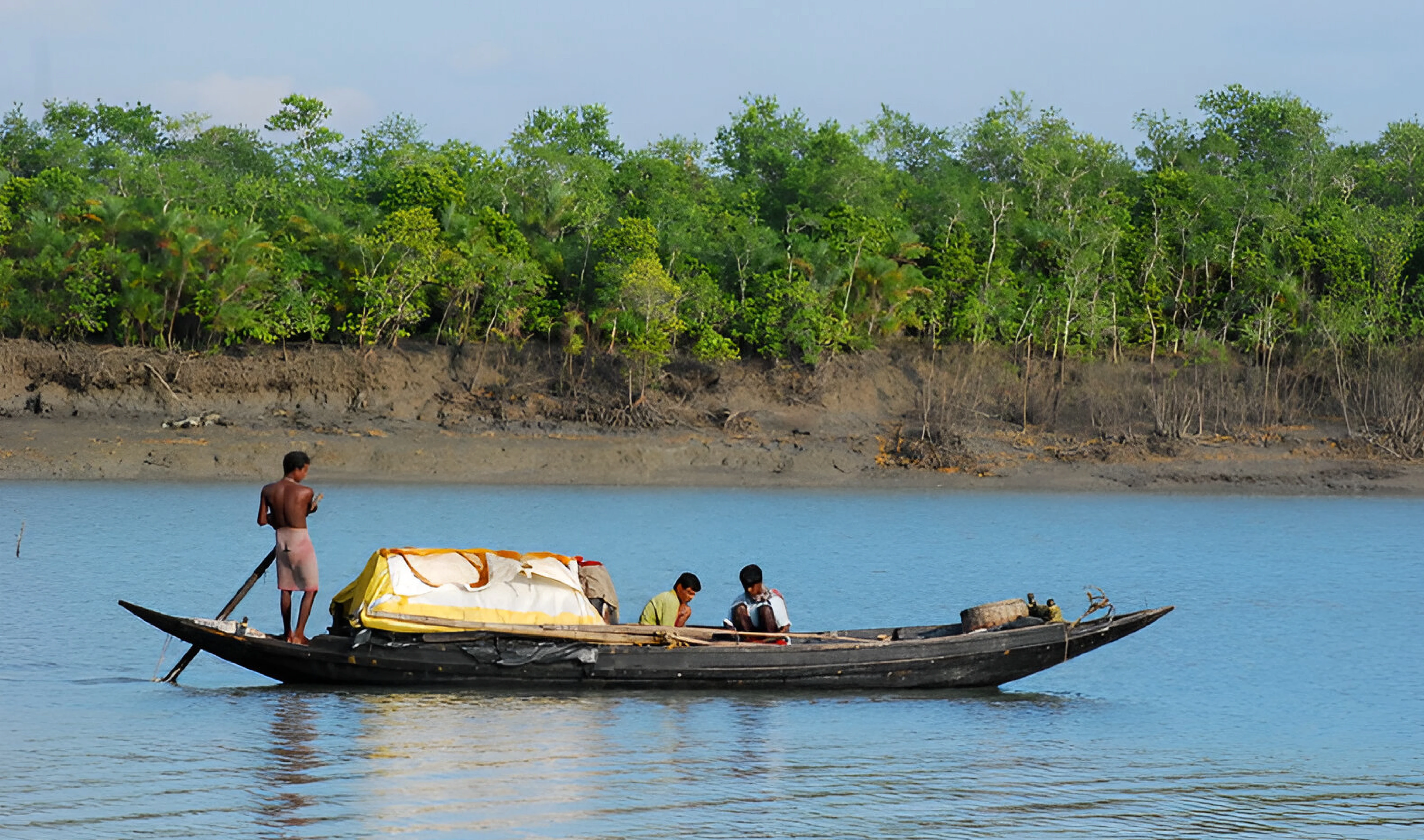 A New Study Highlights how Sundarbans are resilient in face of natural, manmade stress